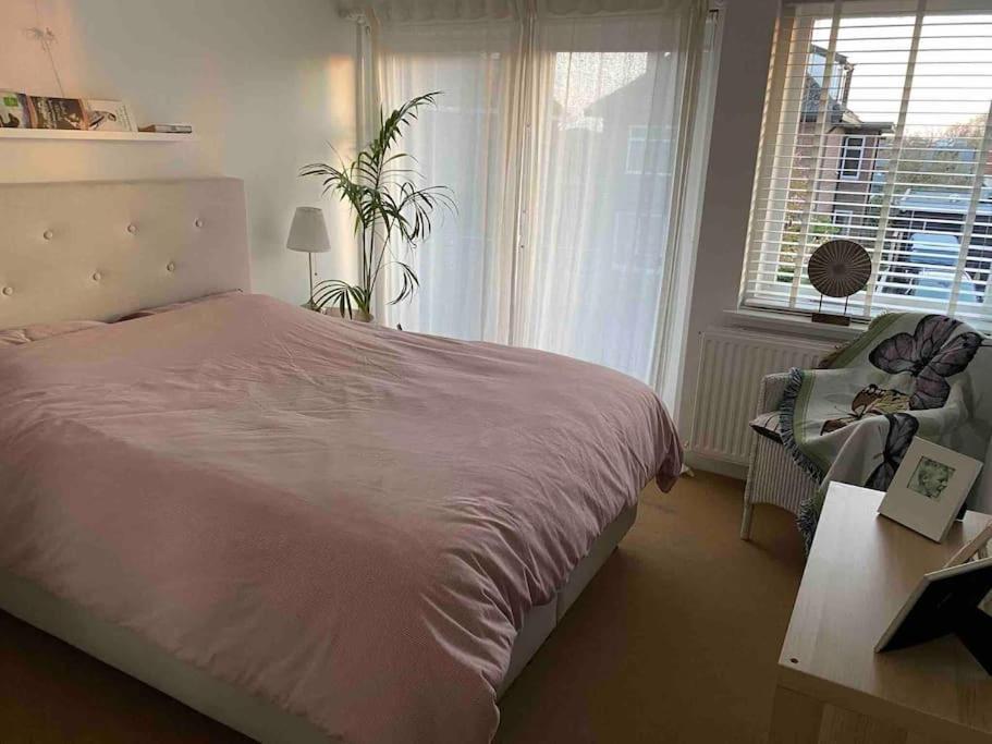 One-Bedroom House photo 1