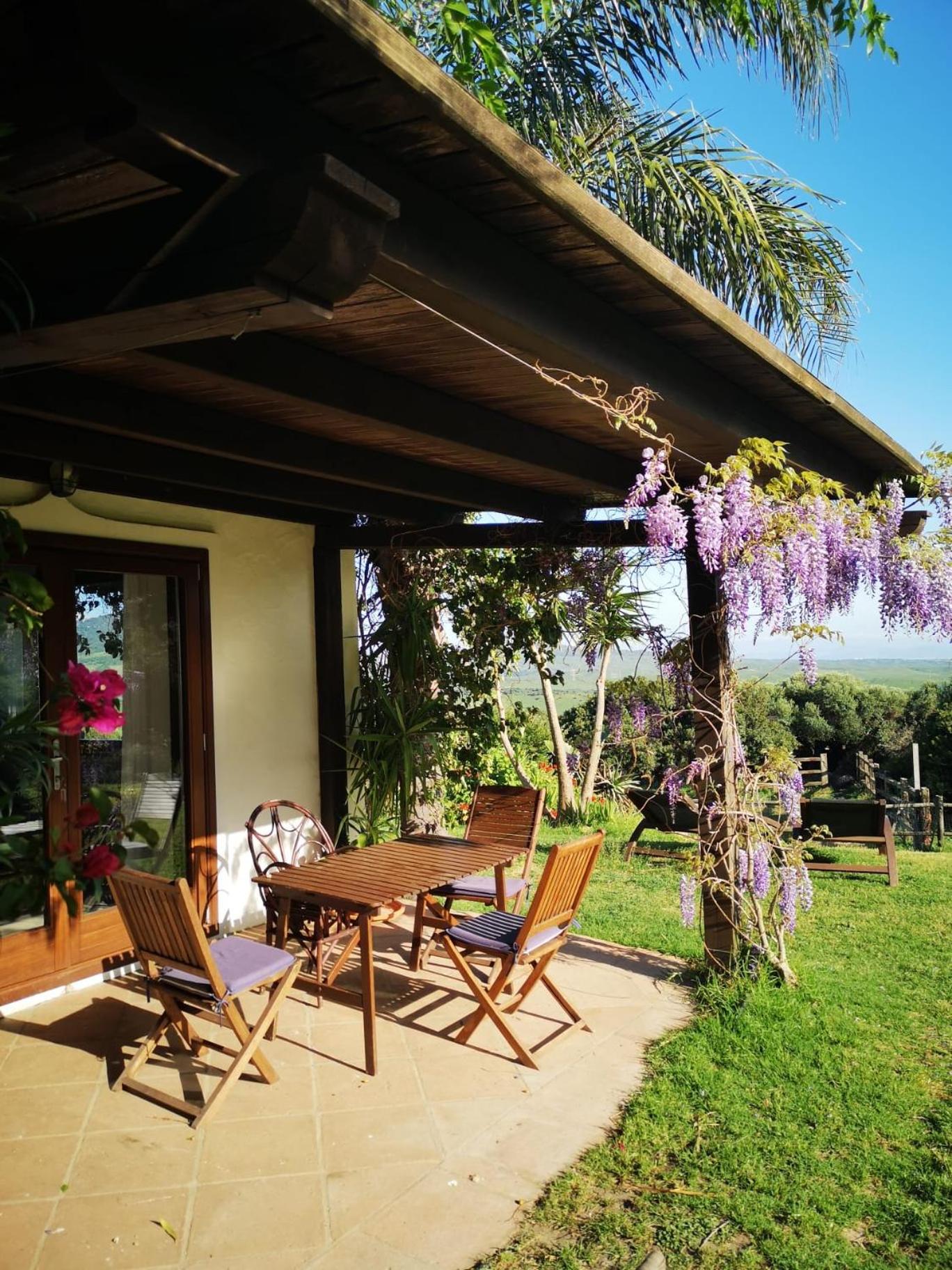 Apartamento con Terraza