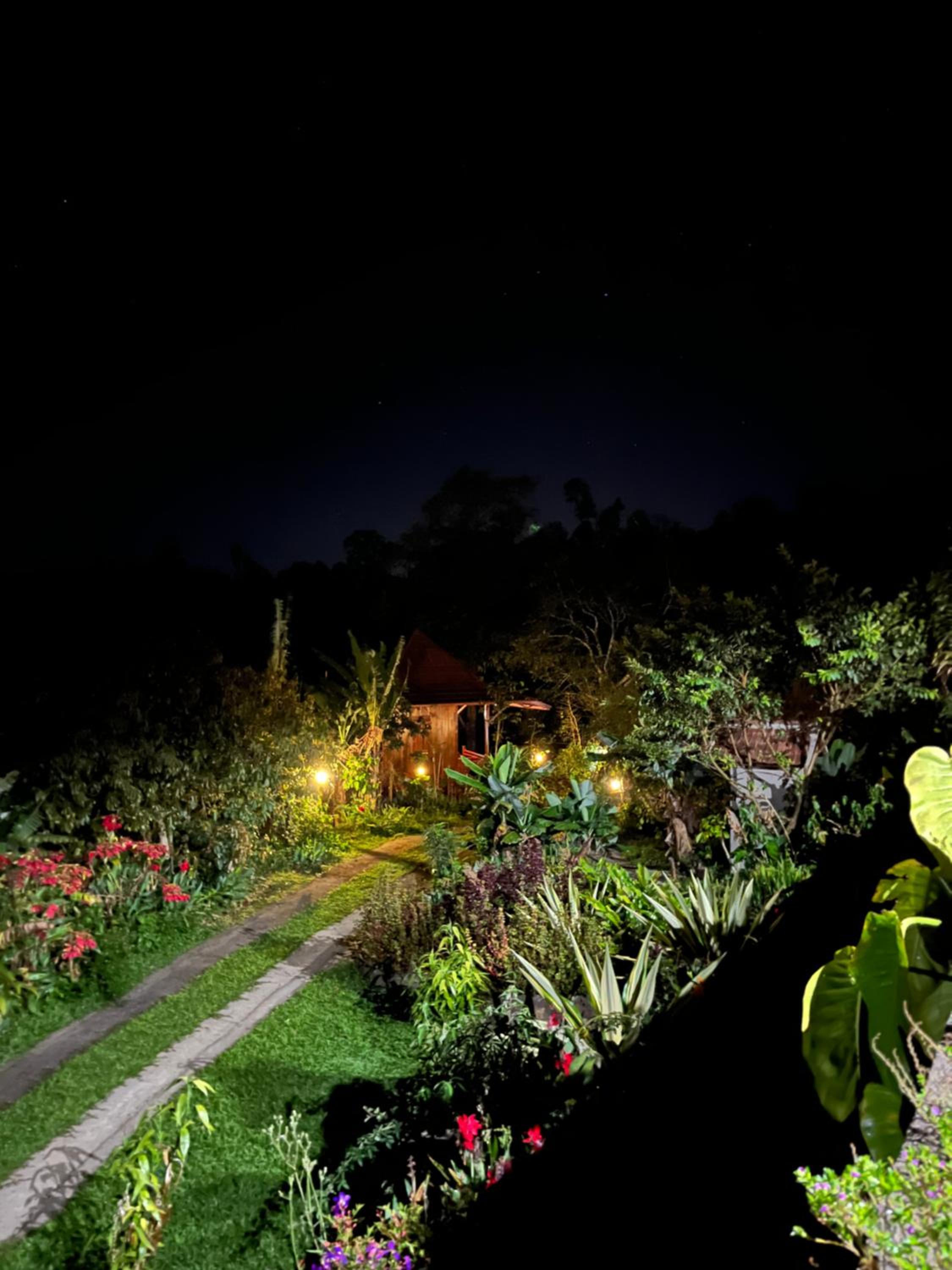 Cottage with Garden View - Photo 14