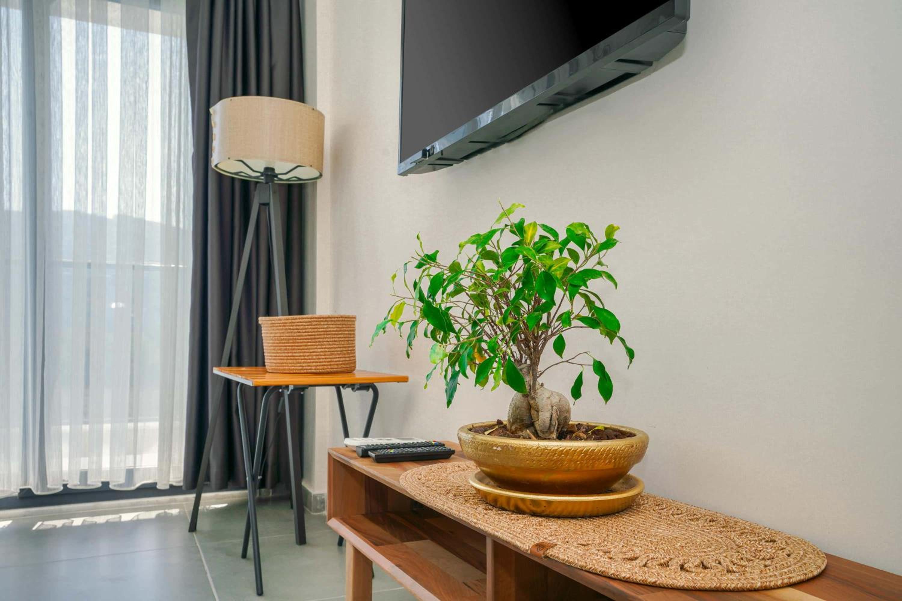 Suite - Photo 9