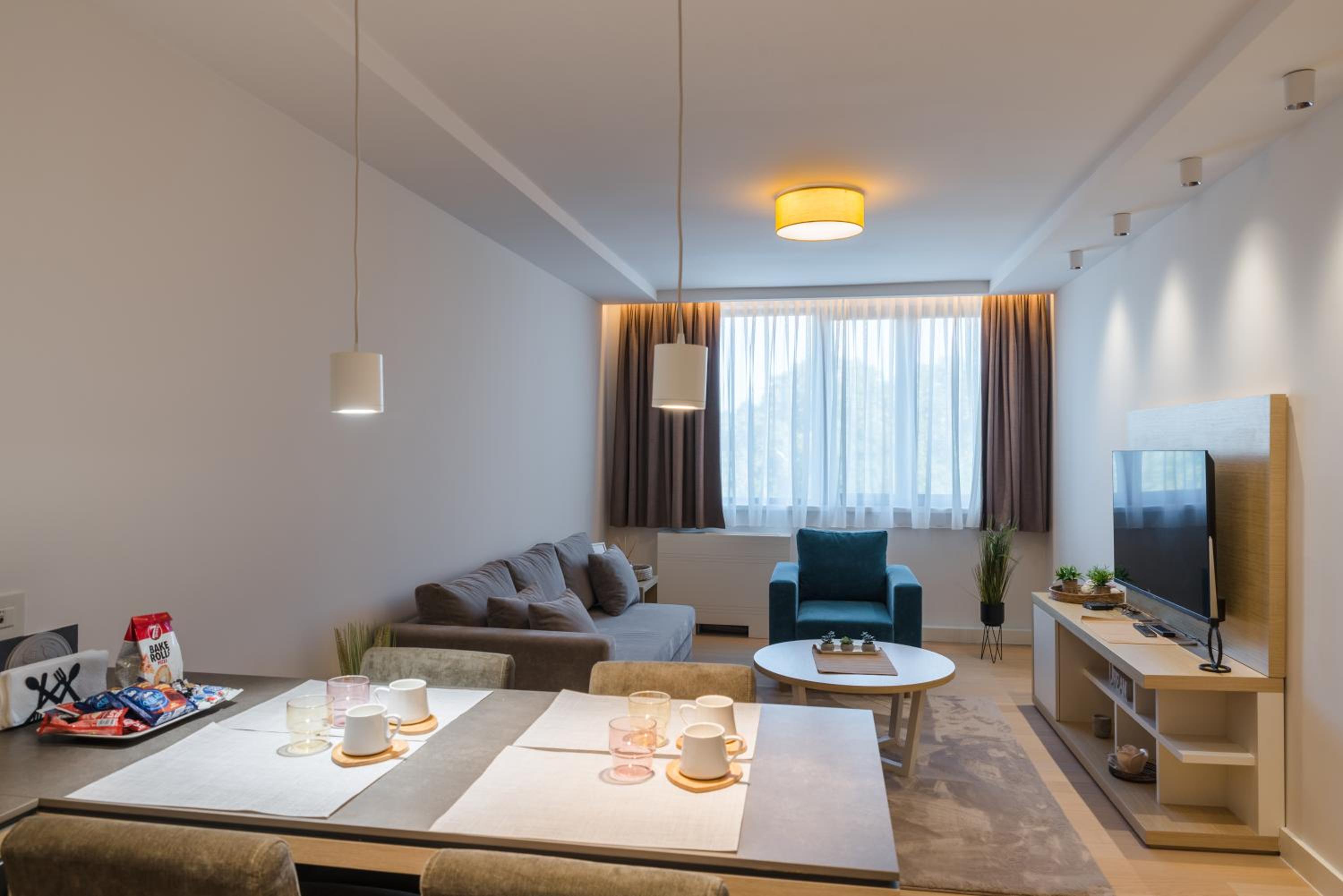 Deluxe One-Bedroom Apartment with City View photo 1