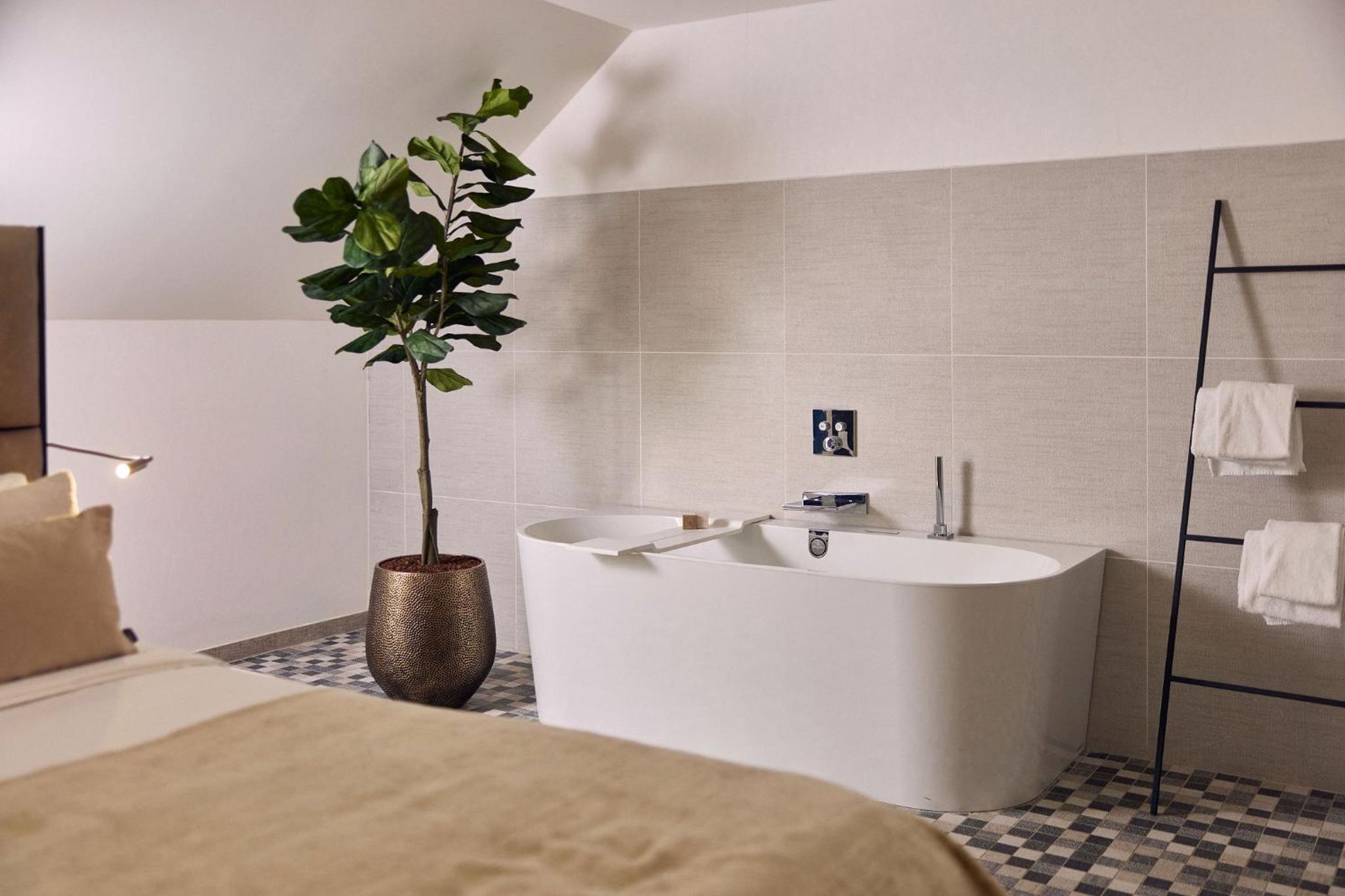 Superior Suite - Photo 5