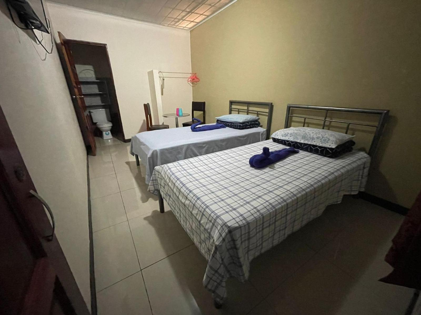 Twin Room photo 3