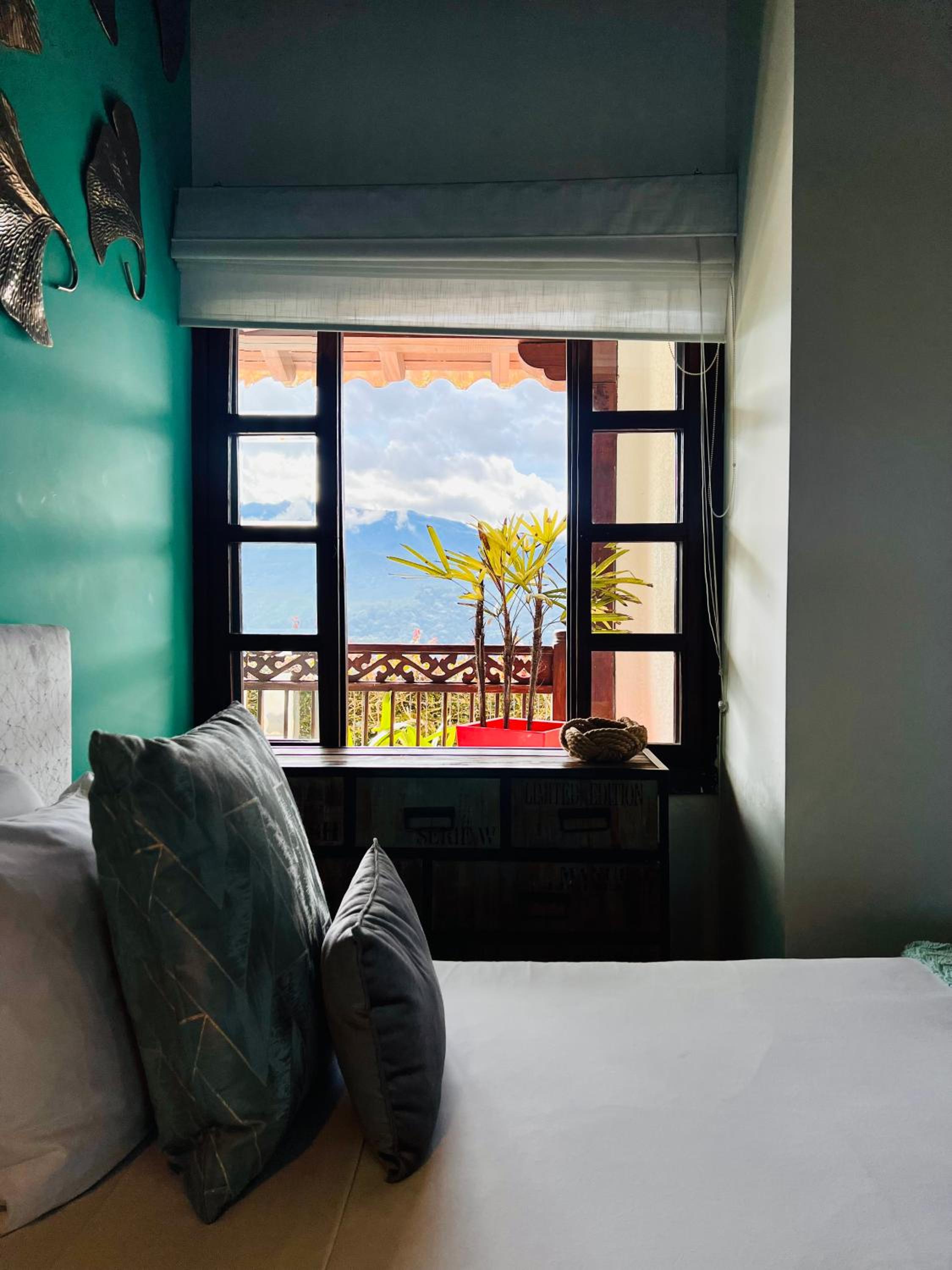 Twin Room photo 3