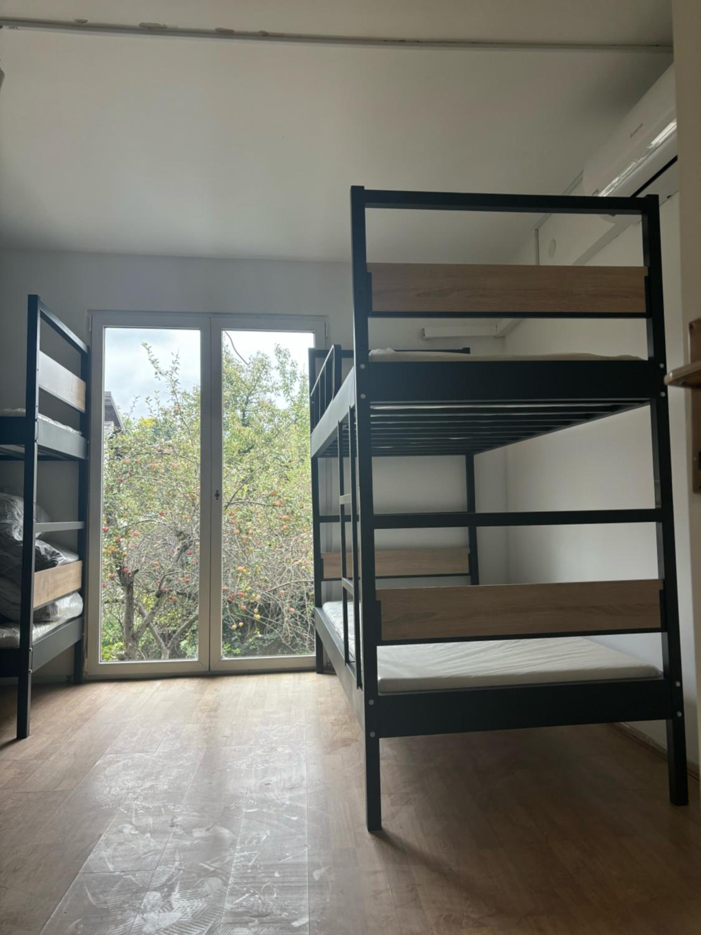 Single Bed In 10-Bed Dormitory Room