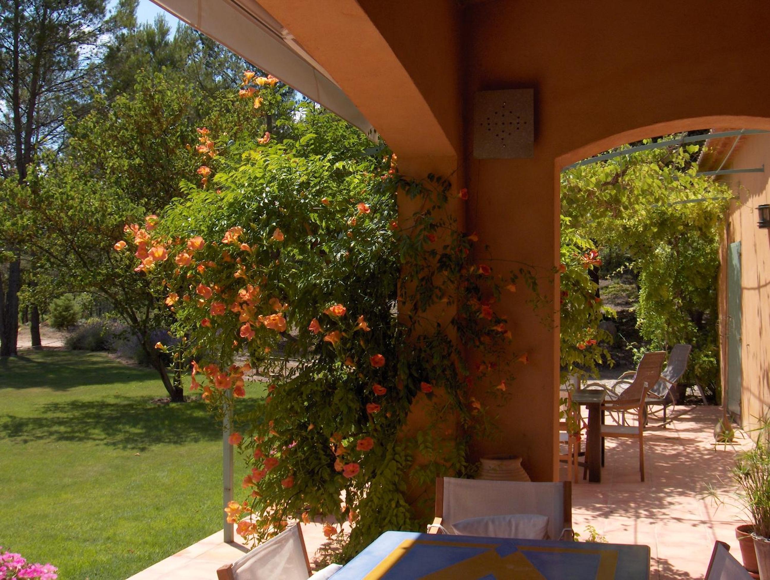 Double Room with Terrace photo 2