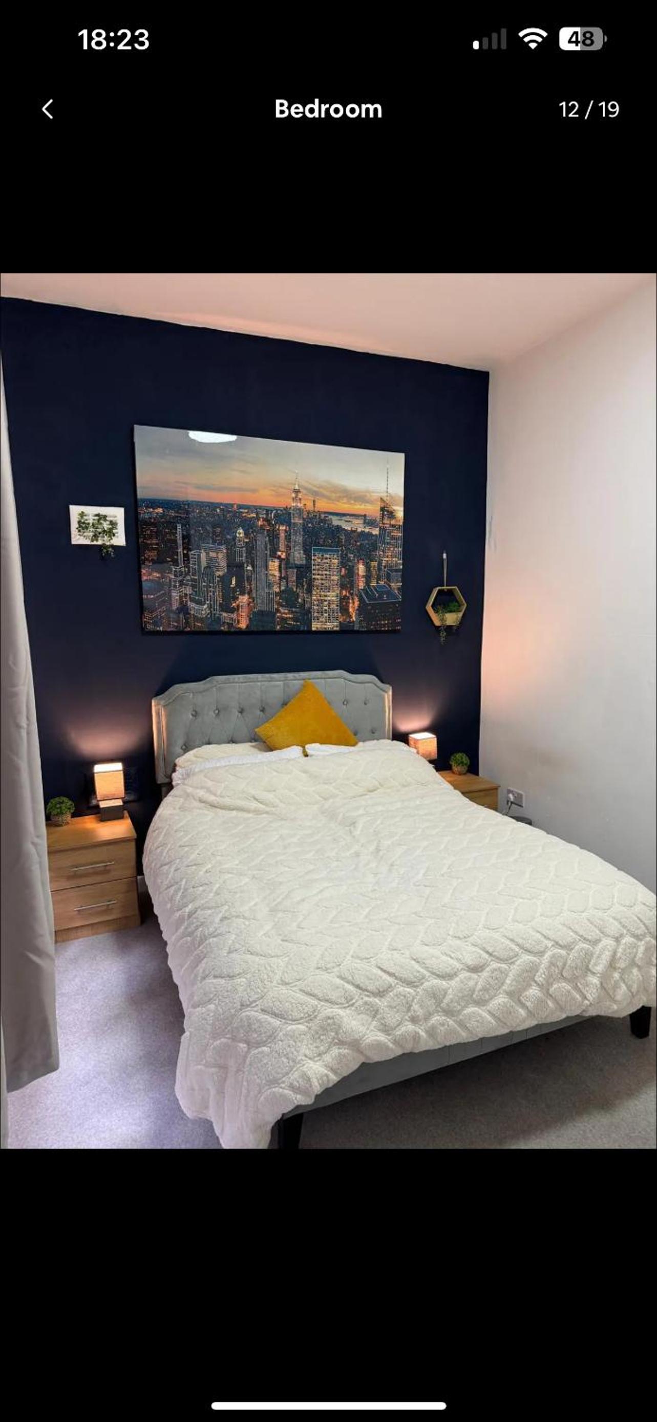 One-Bedroom Apartment photo 3
