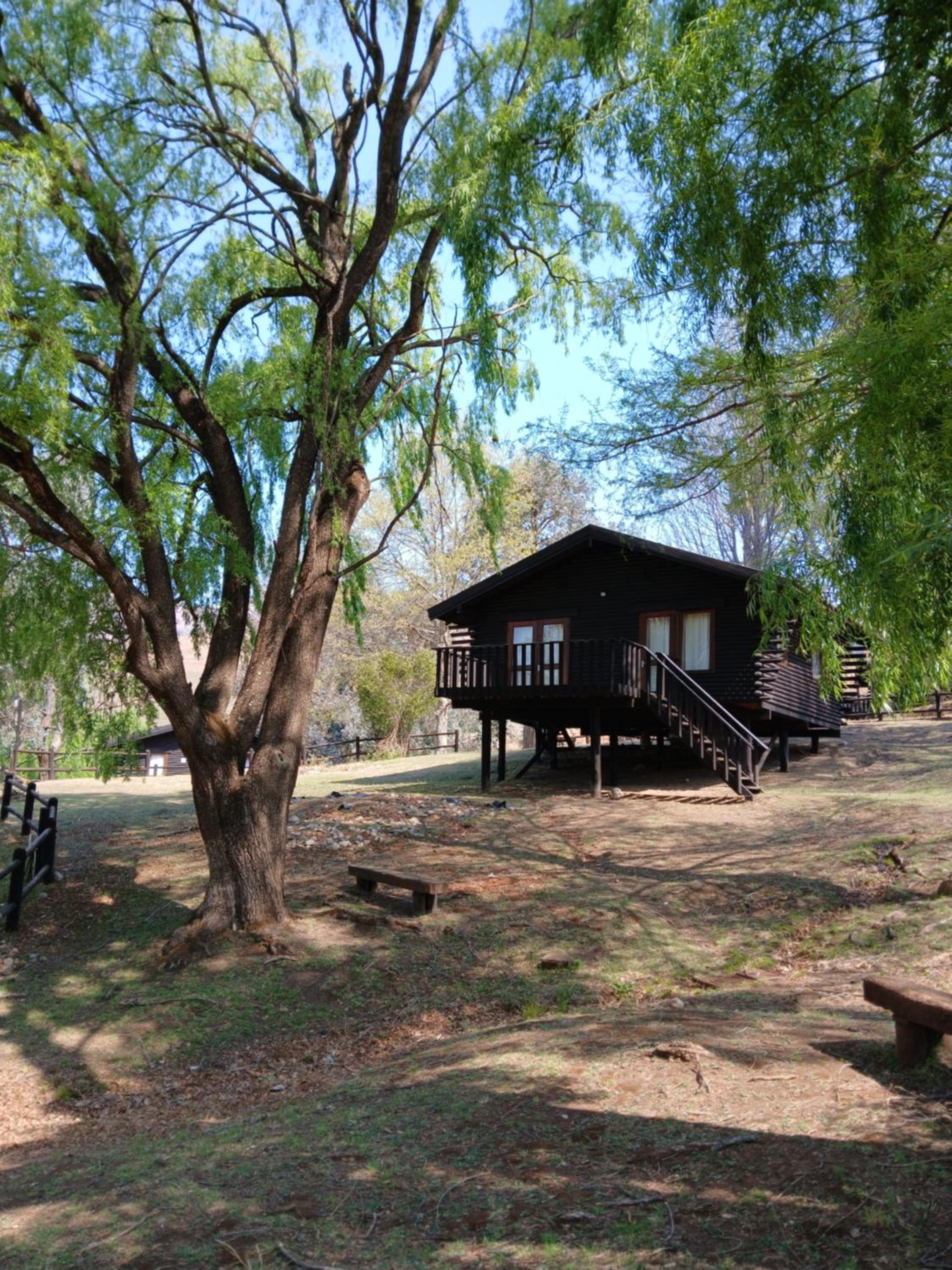 Bungalow (4-6 Sleeper) - Photo 40