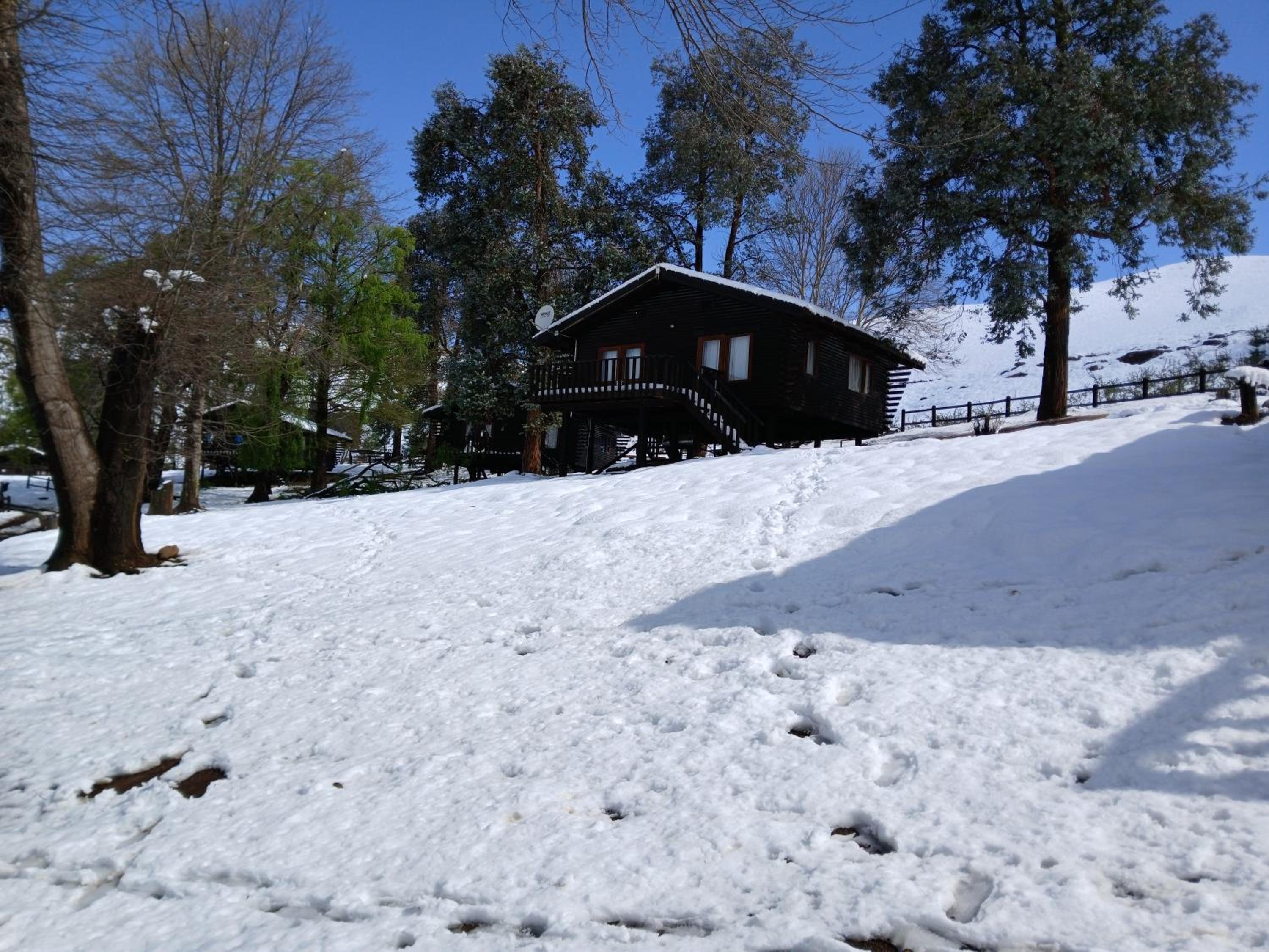 Bungalow (4-6 Sleeper) - Photo 41