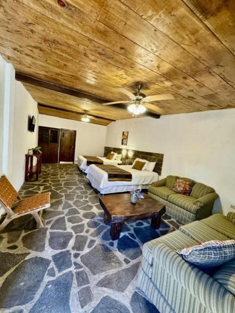 Standard Double Suite photo 3