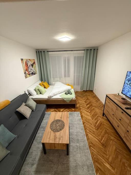 One-Bedroom Apartment photo 1