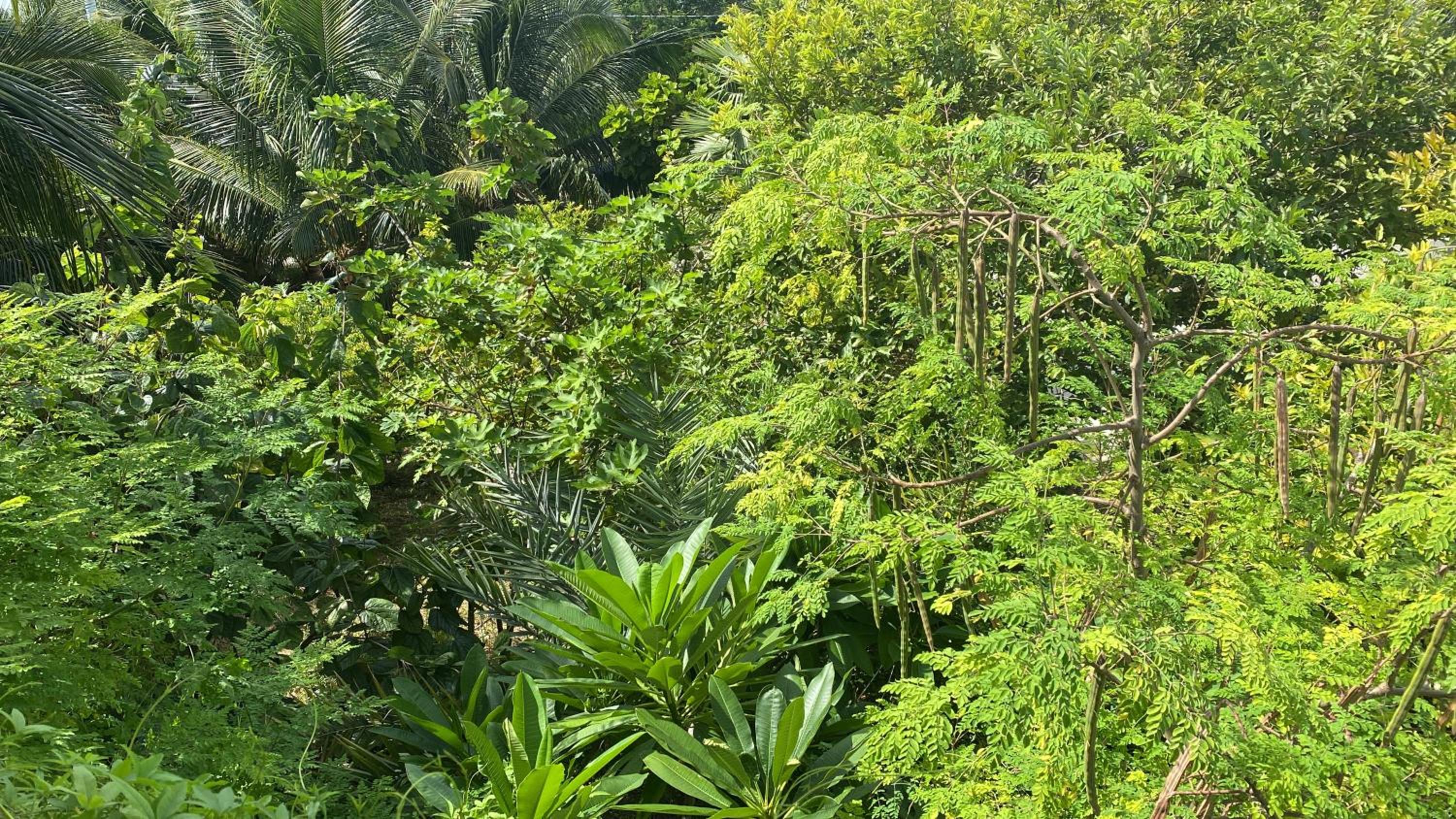 Villa with Sea View photo 3