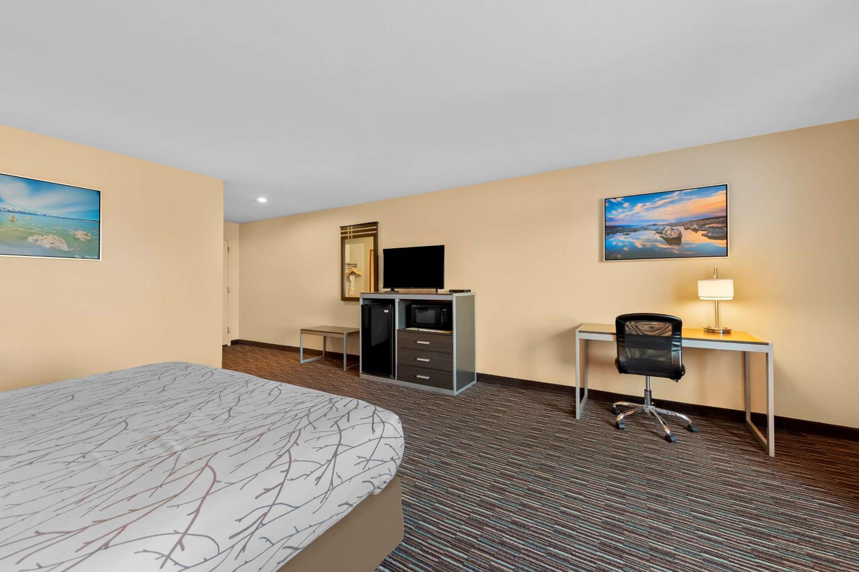 King Room with Partial View - Non-Smoking photo 2