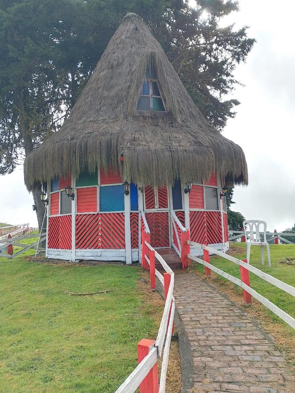 Family Bungalow photo 2
