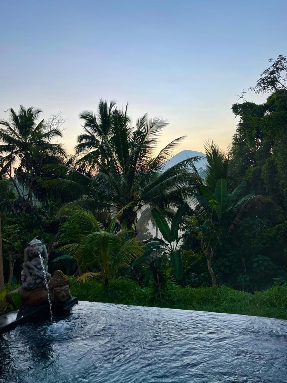 One Bedroom Villa with Garden View - Photo 10