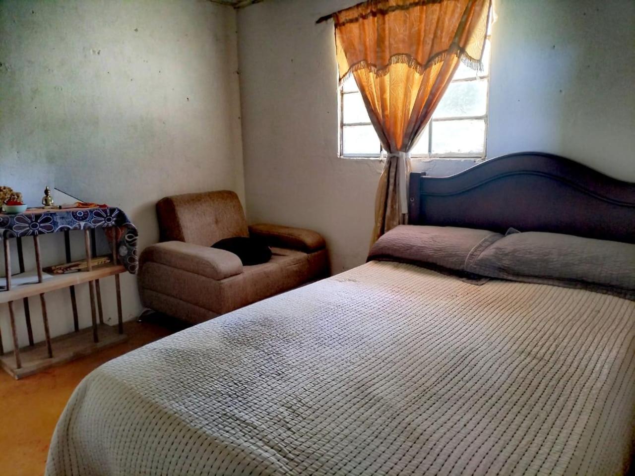 Twin Room photo 3