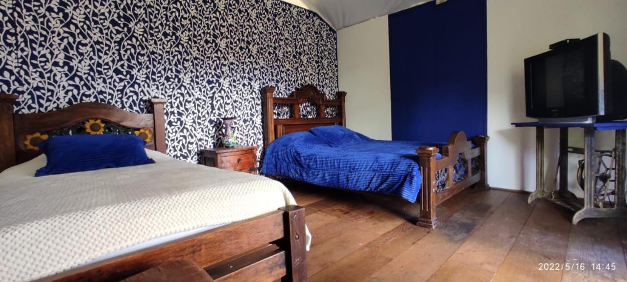 Triple Room with Mountain View photo 1