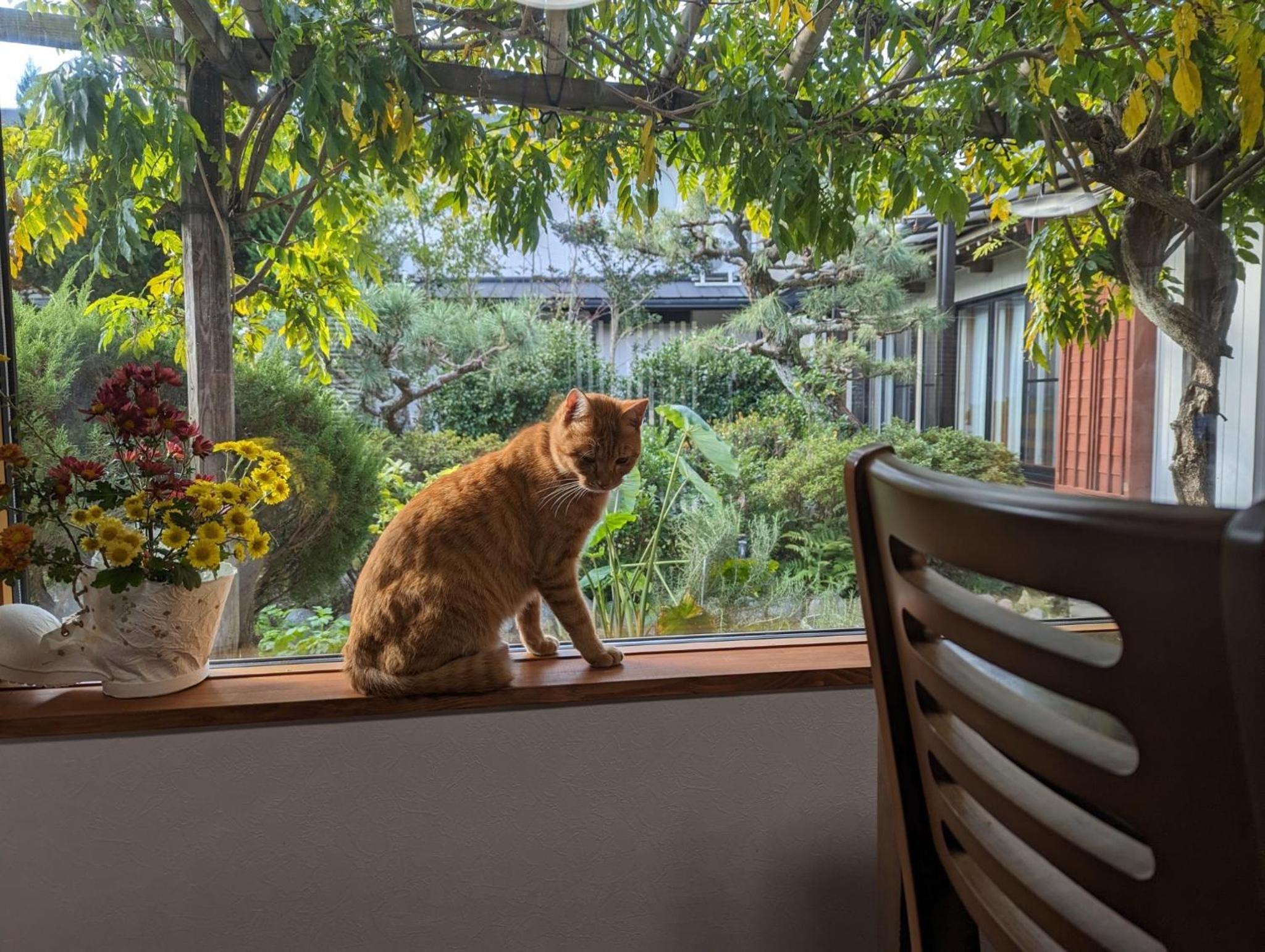 Vacation Home - Photo 39