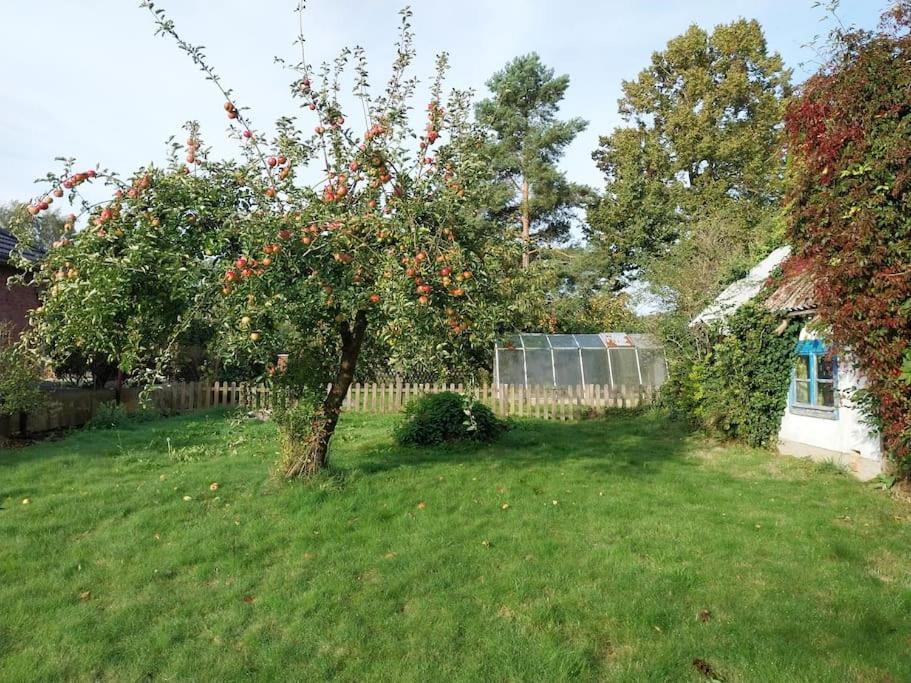 One-Bedroom Apartment with Garden View photo 2