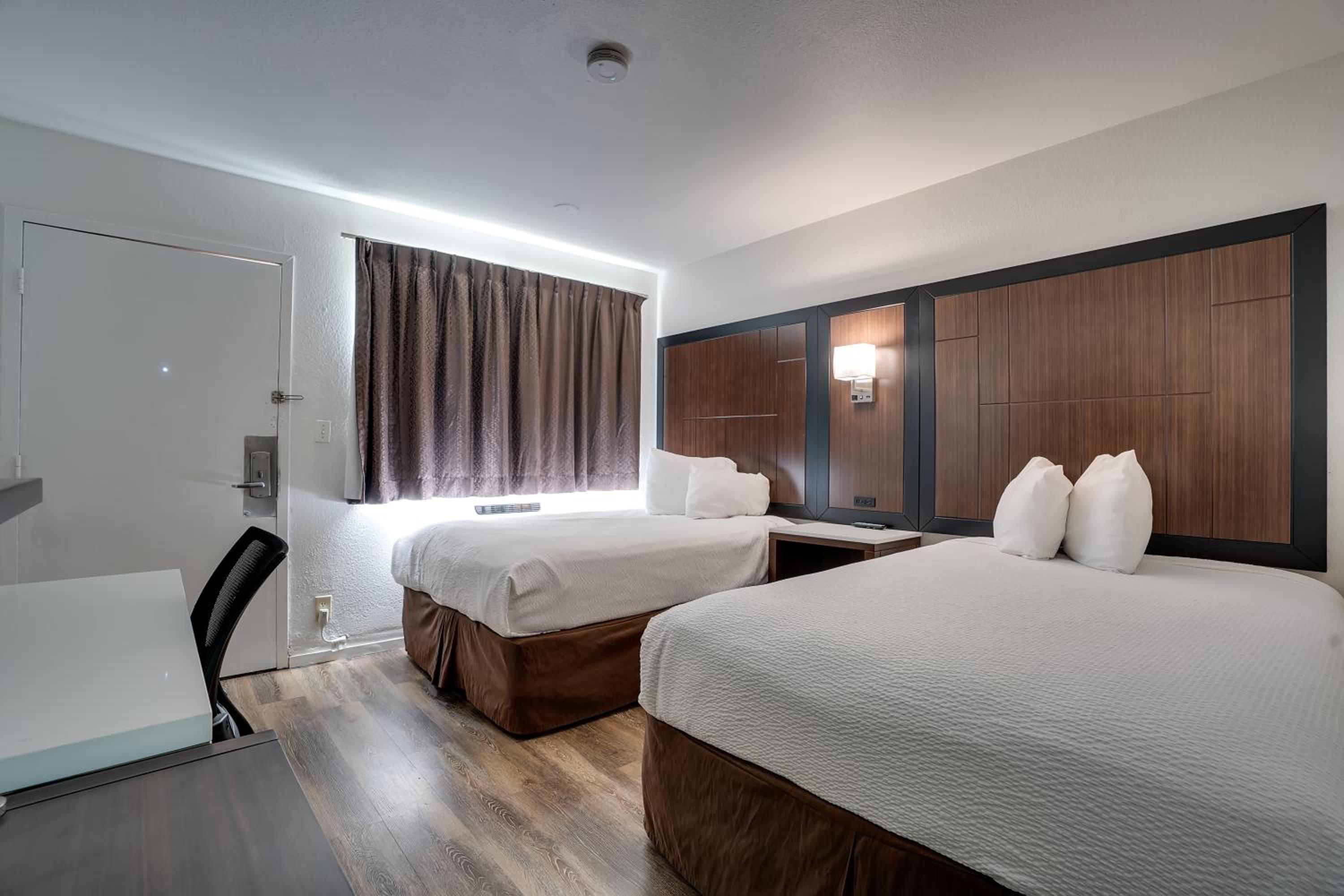 Quadruple Room - Non Smoking/Pet Friendly - Photo 3