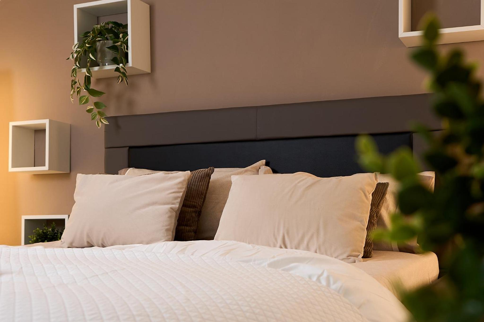 Junior Suite photo 1