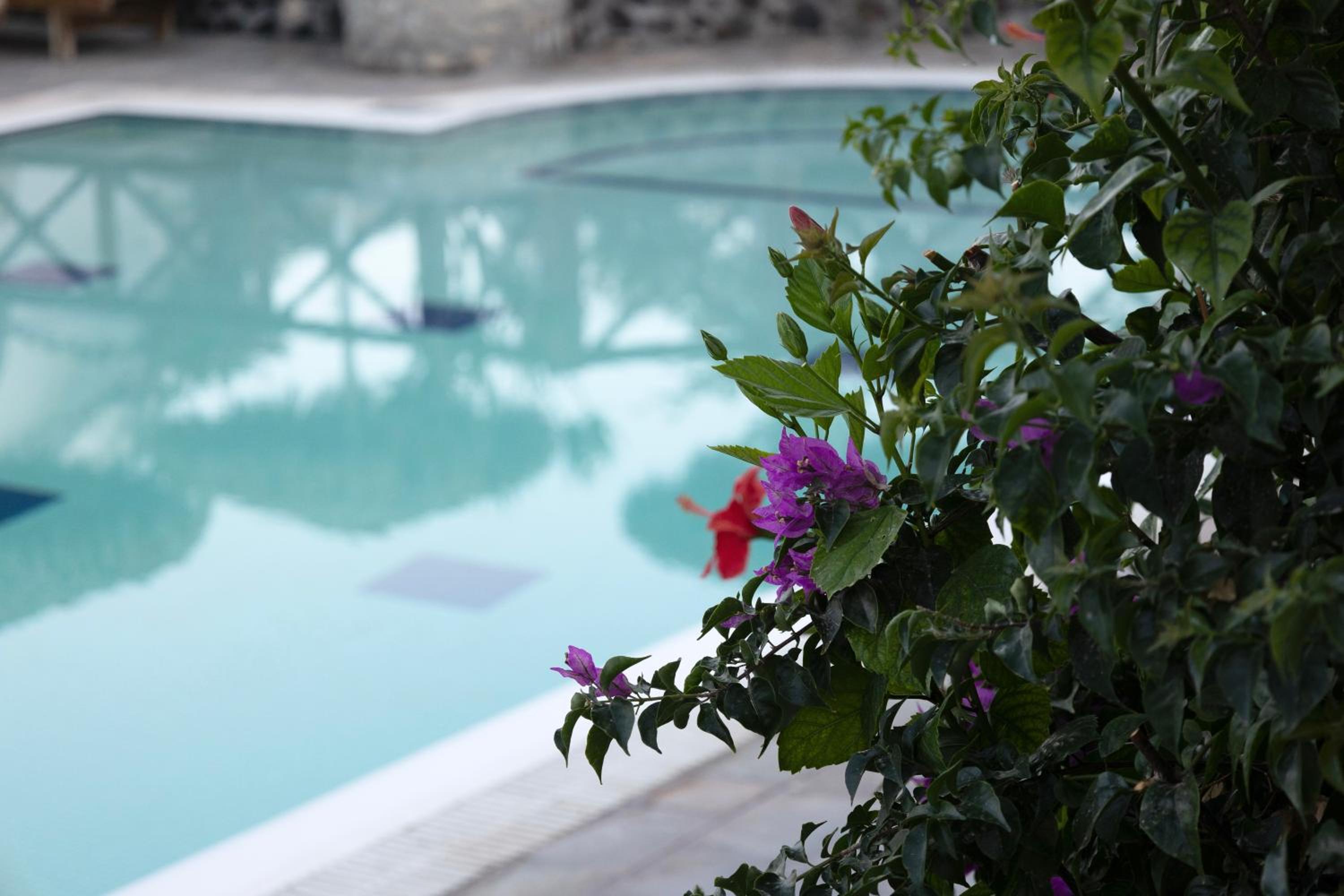 Apartment with Pool View  - Photo 11