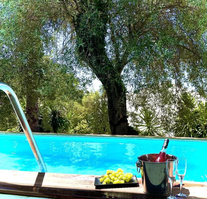 Junior Suite with Sharing Pool - Photo 3