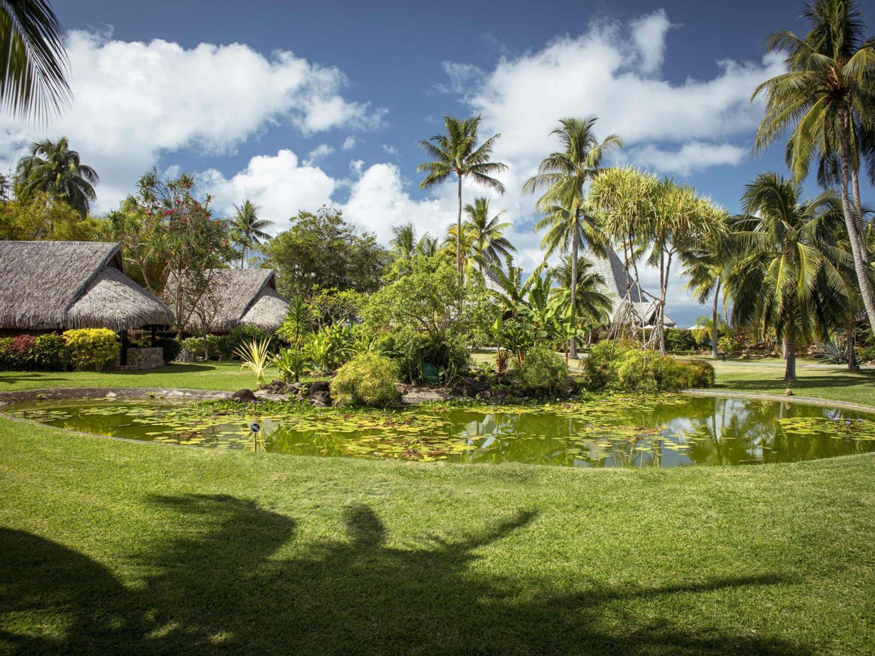 Luxury Villa with Garden View