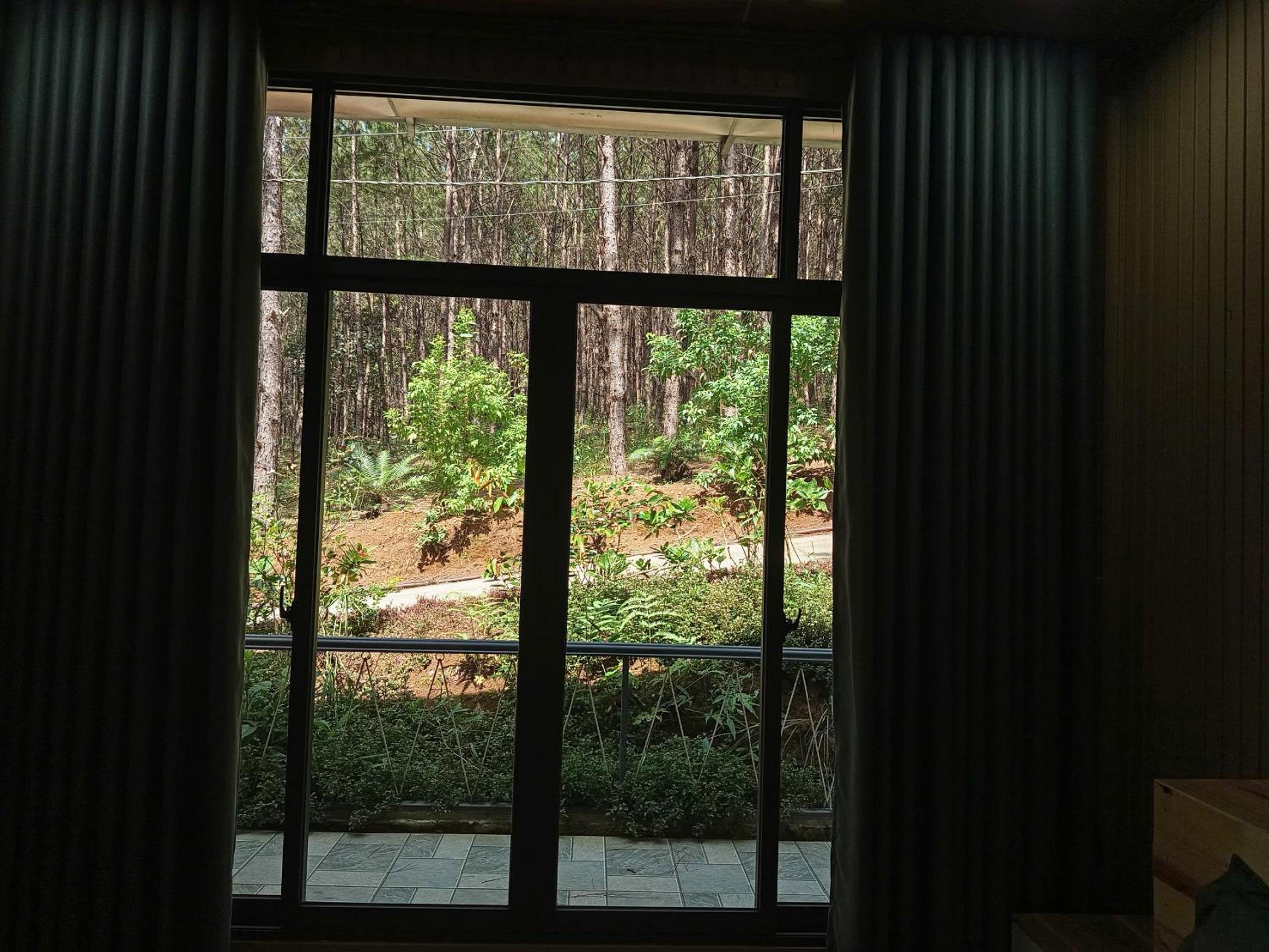Double Room With Garden View photo 3