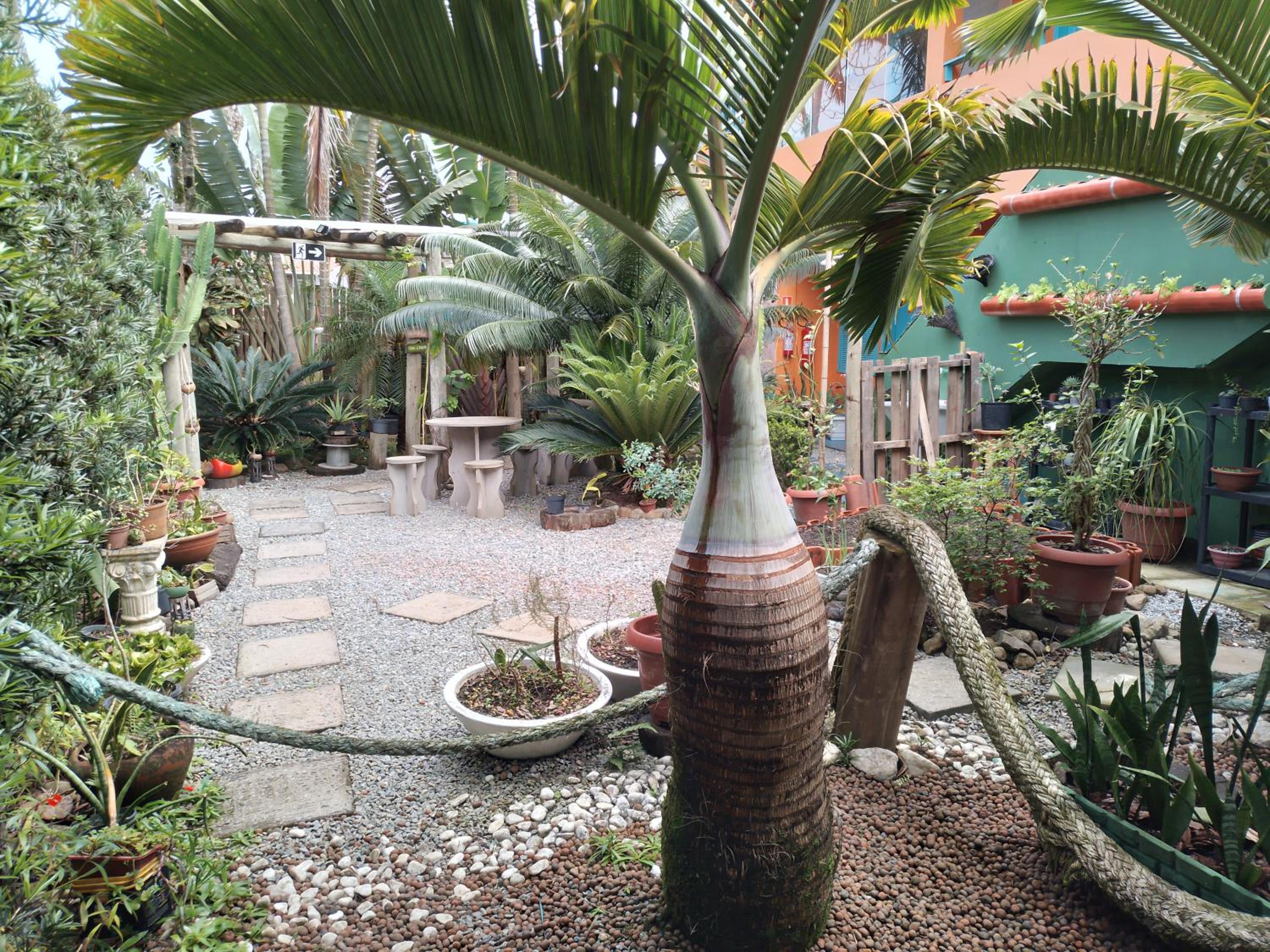 Quadruple Room with Garden View - Photo 1