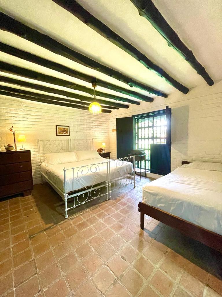 Standard Triple Room photo 2