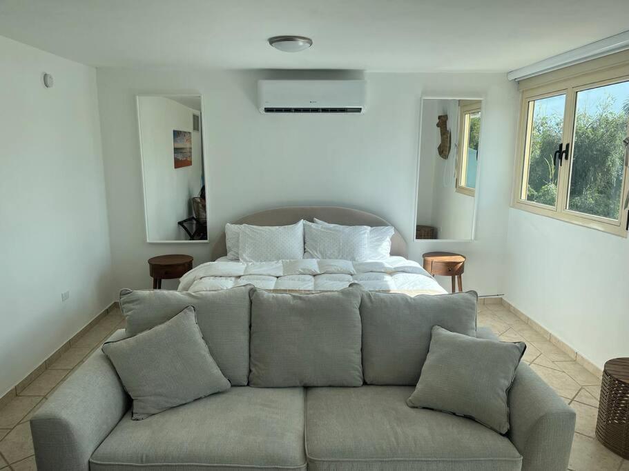 King Studio With Sofa Bed