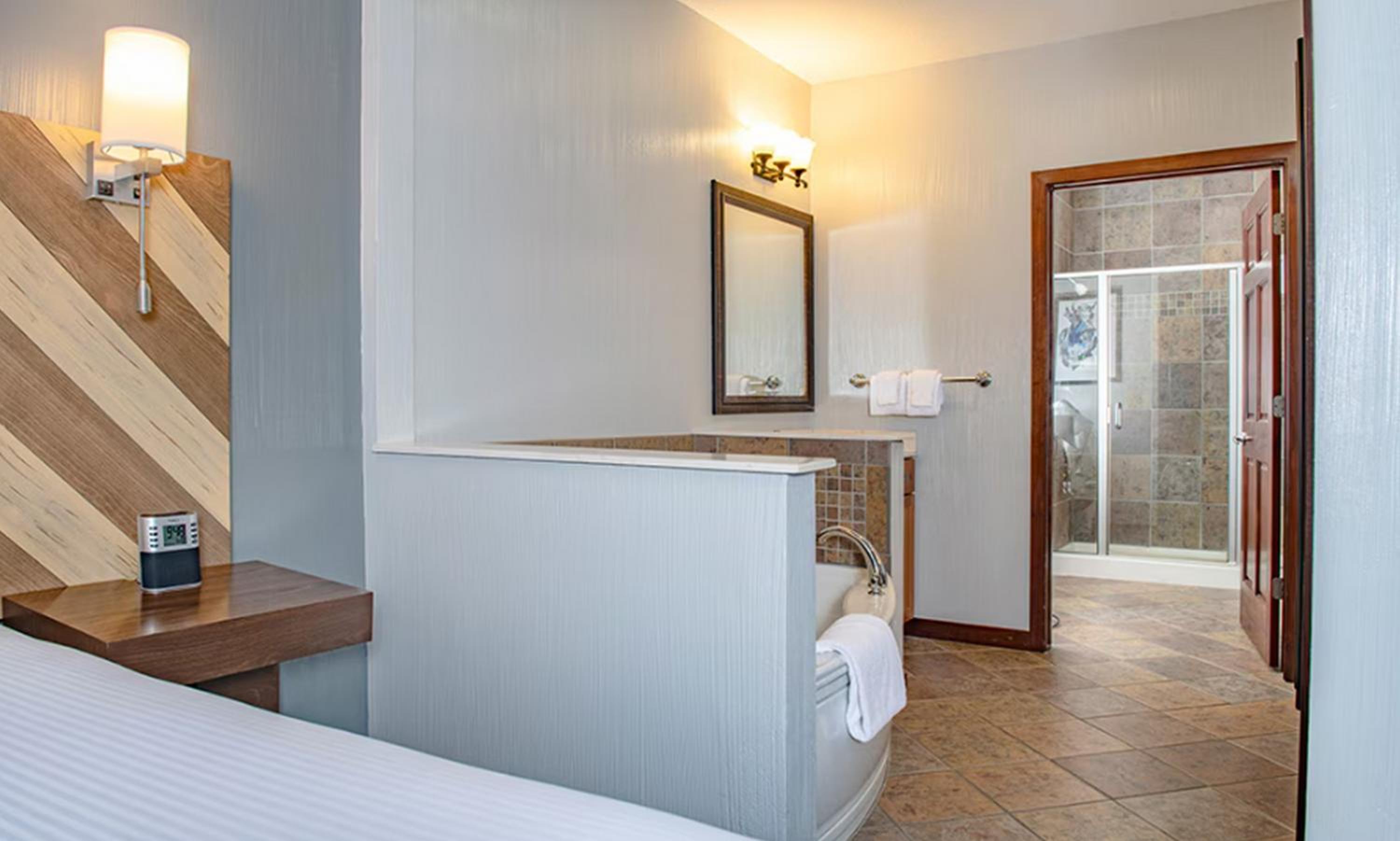 Deluxe Room photo 2