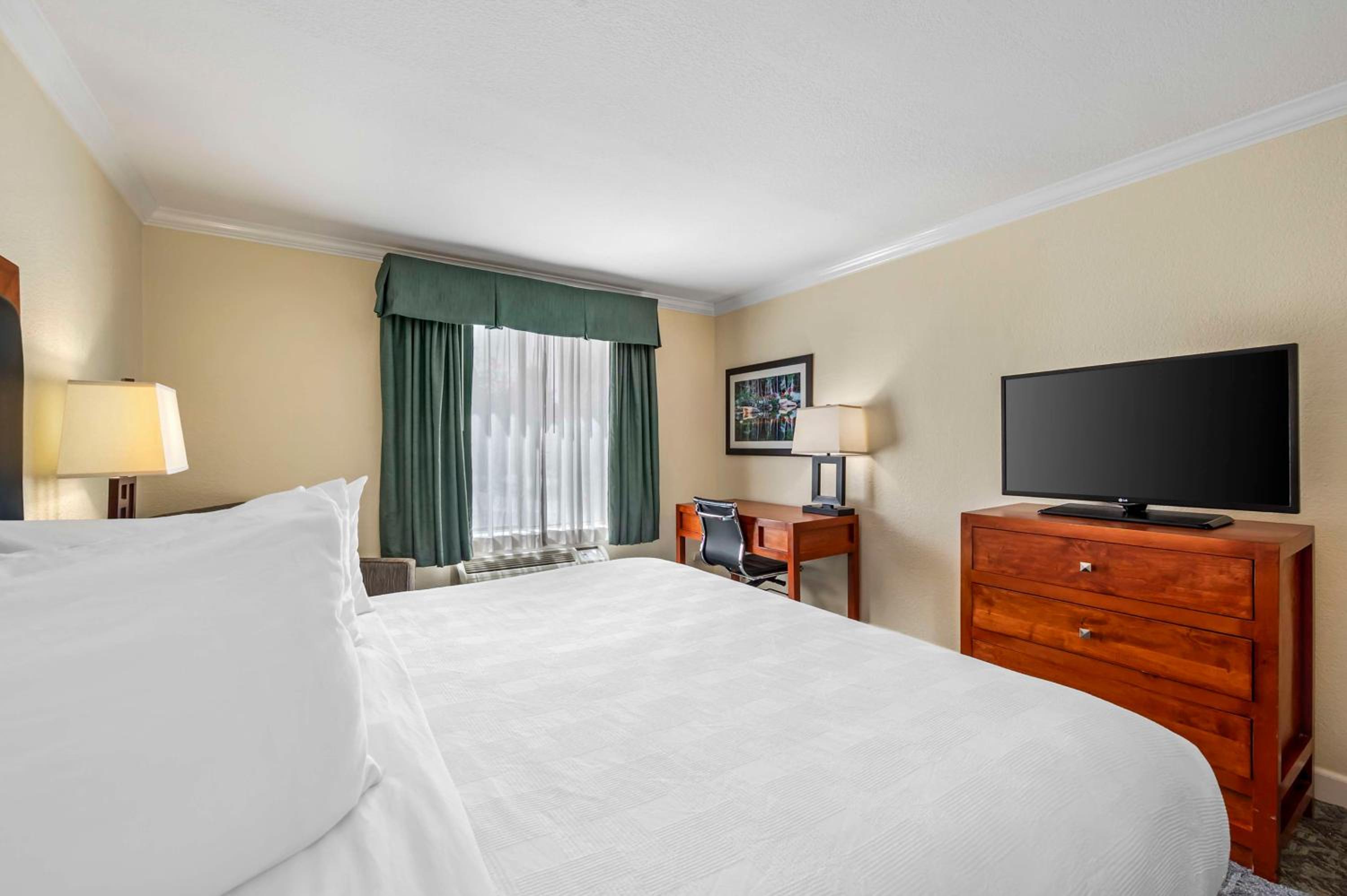 King Room - Non-Smoking - Photo 2