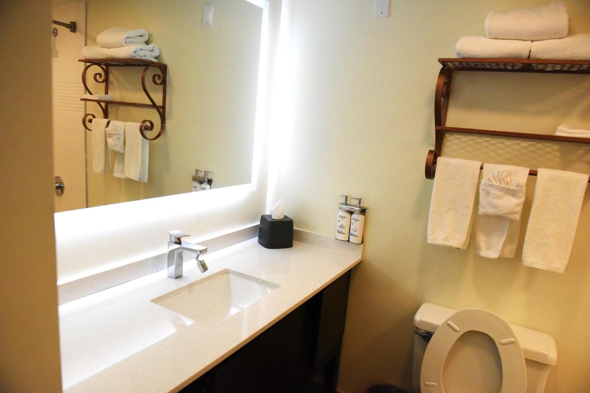 One-Bedroom King Suite with Courtyard View - Photo 7
