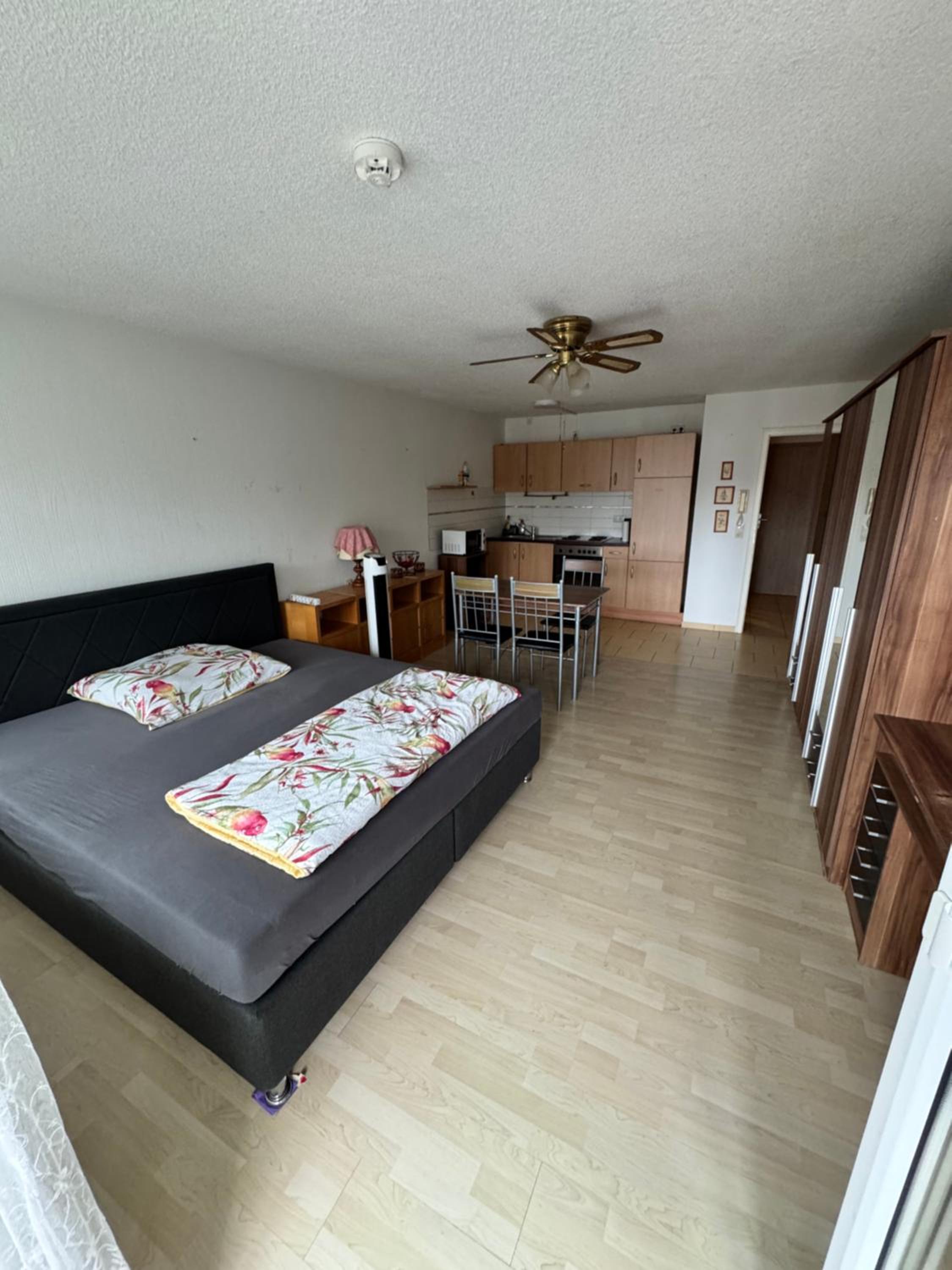One-Bedroom Apartment photo 2