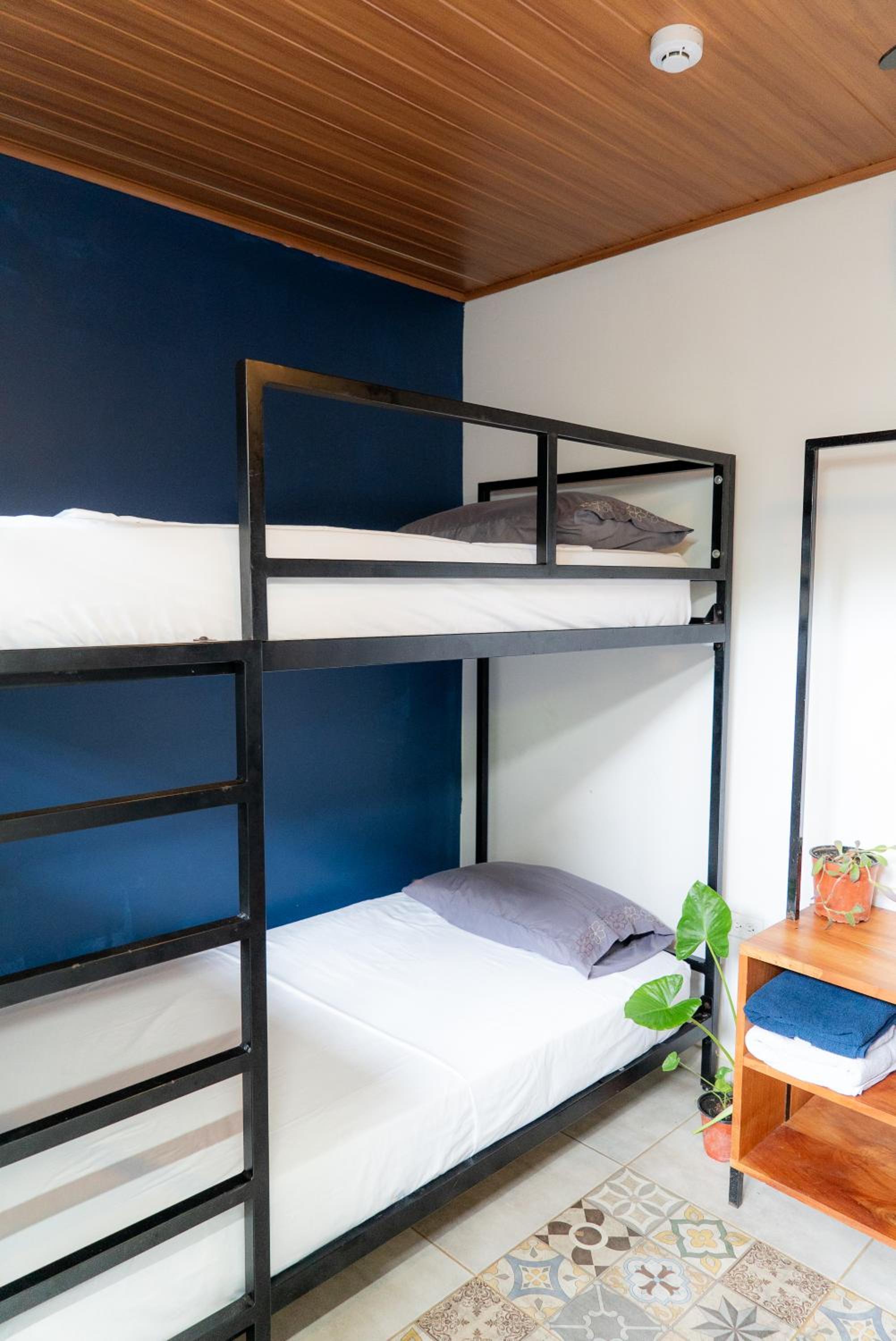 Quadruple Room photo 1
