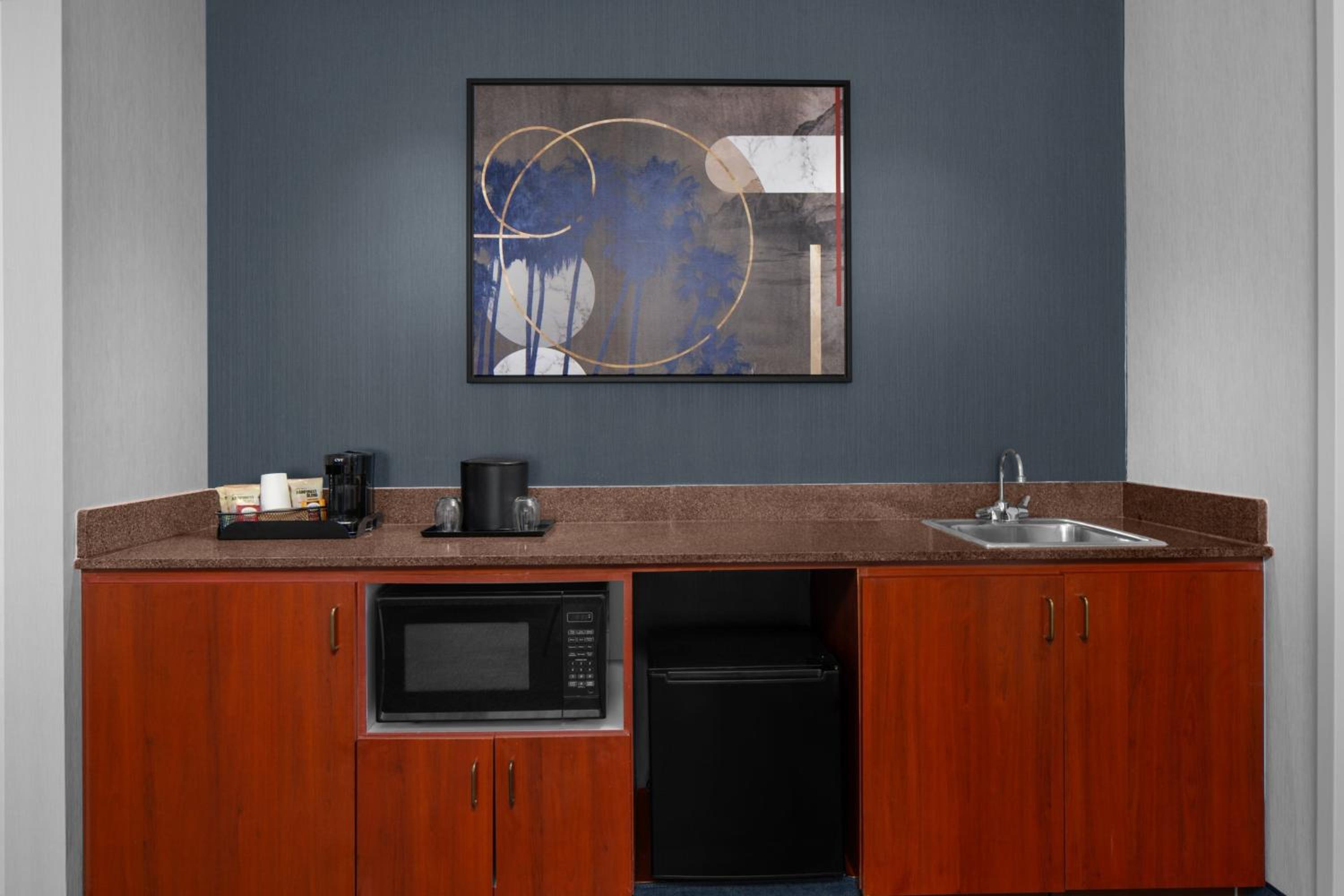 One-Bedroom King Suite - Photo 10