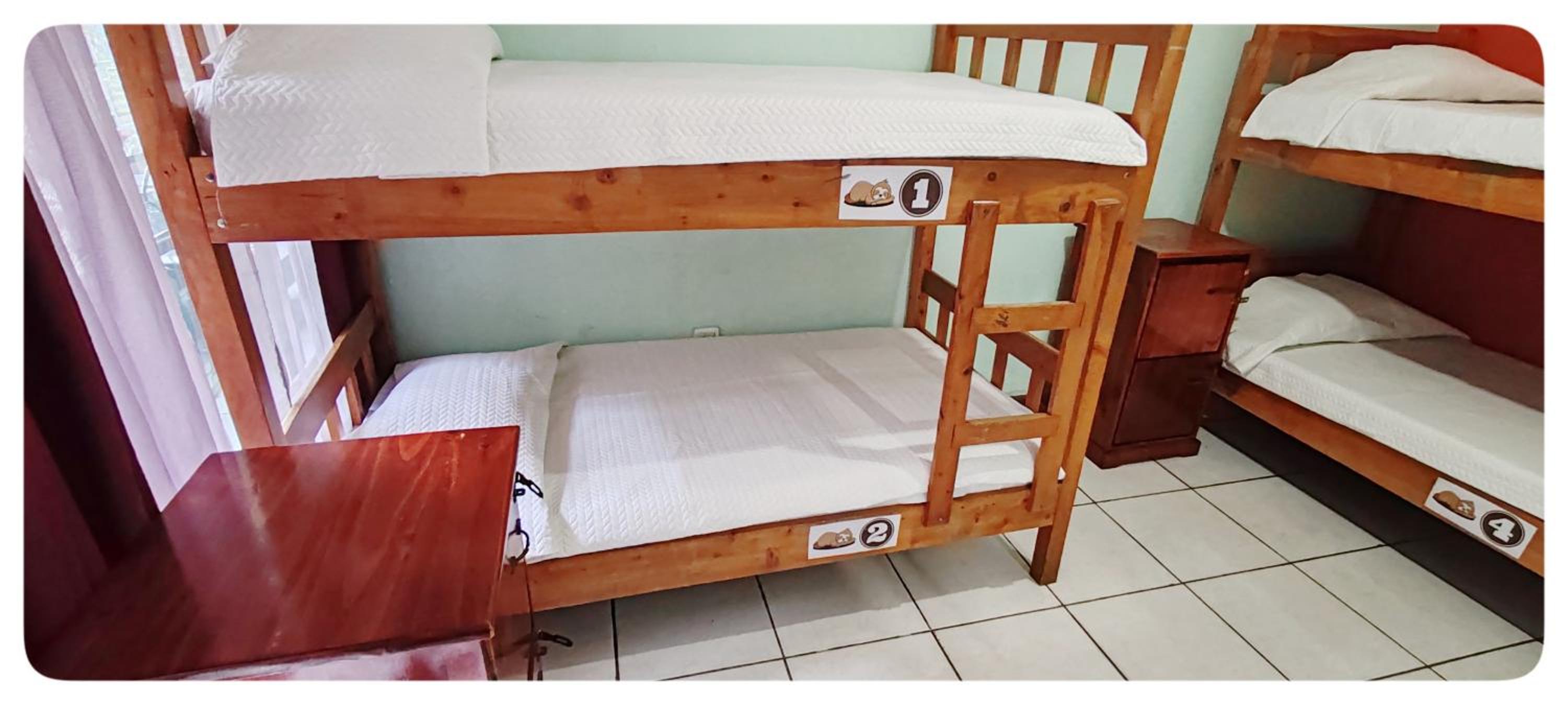 Single Bed In Mixed Dormitory Room photo 3