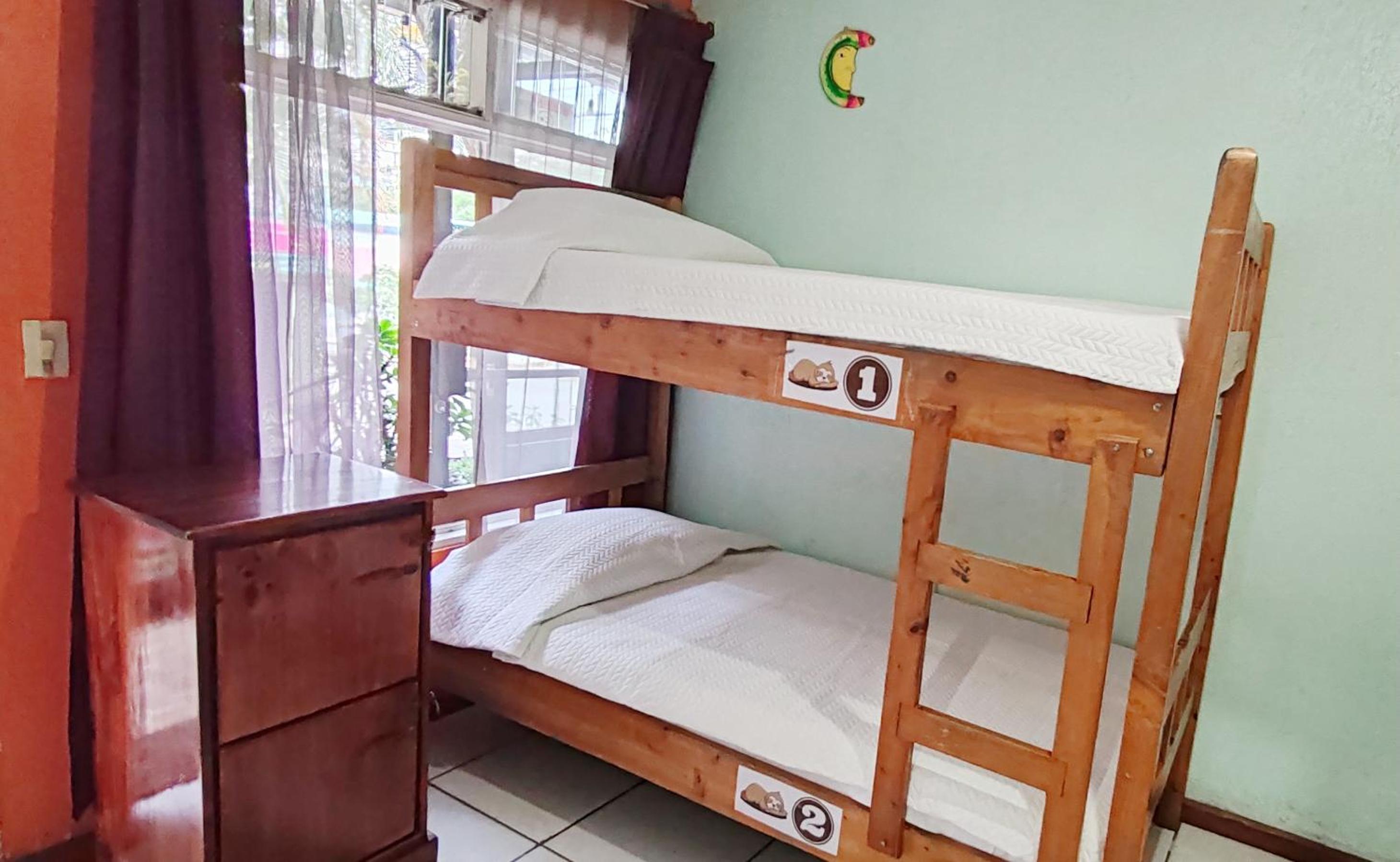 Single Bed In Mixed Dormitory Room photo 1