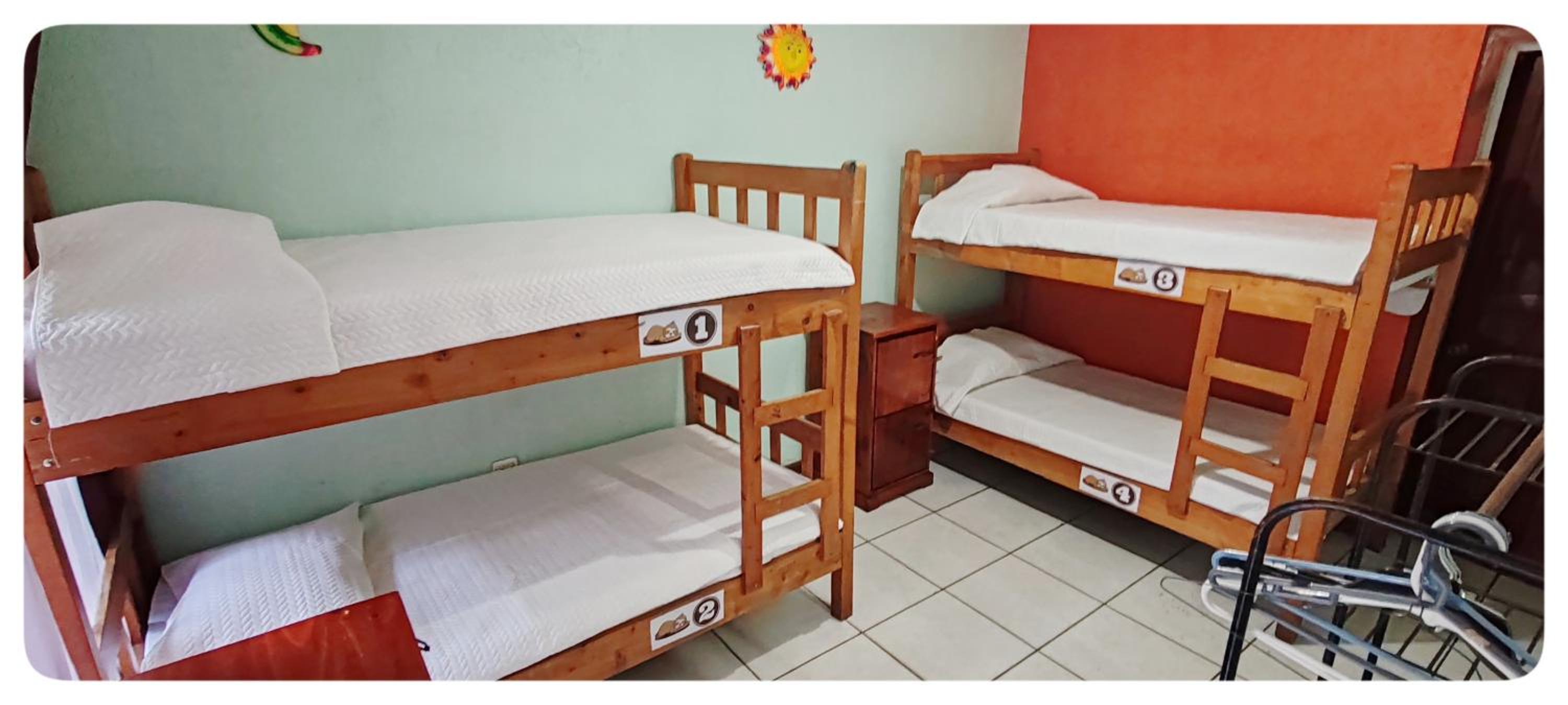 Single Bed In Mixed Dormitory Room photo 2