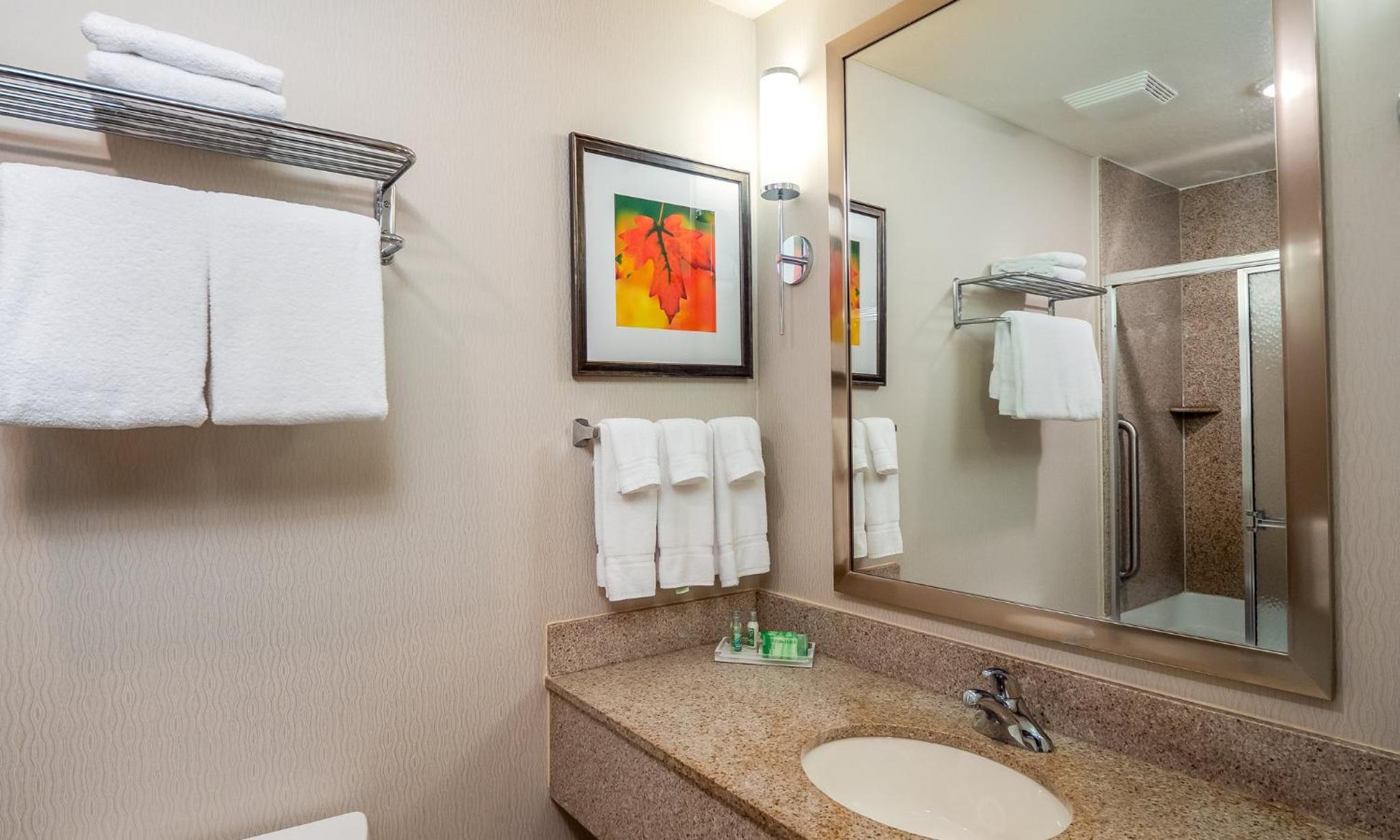 King Suite - Photo 4