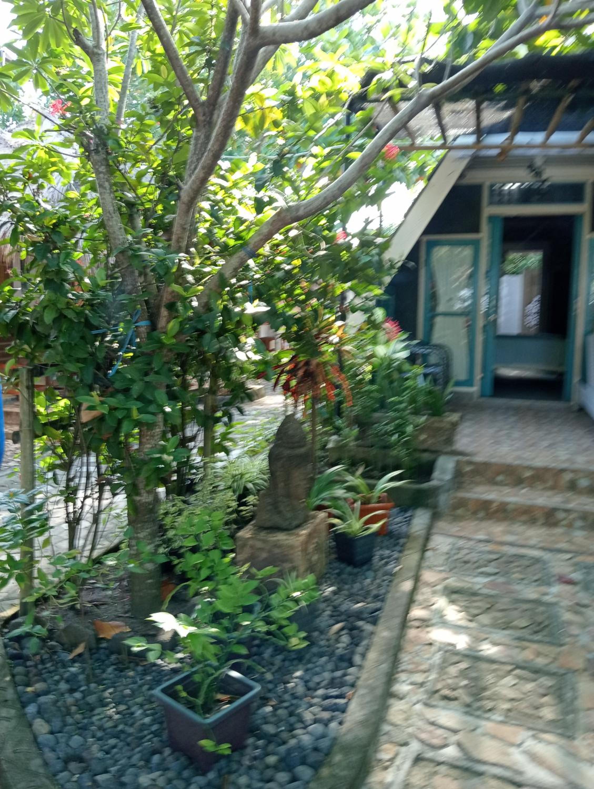 Double Room with Patio - Photo 6