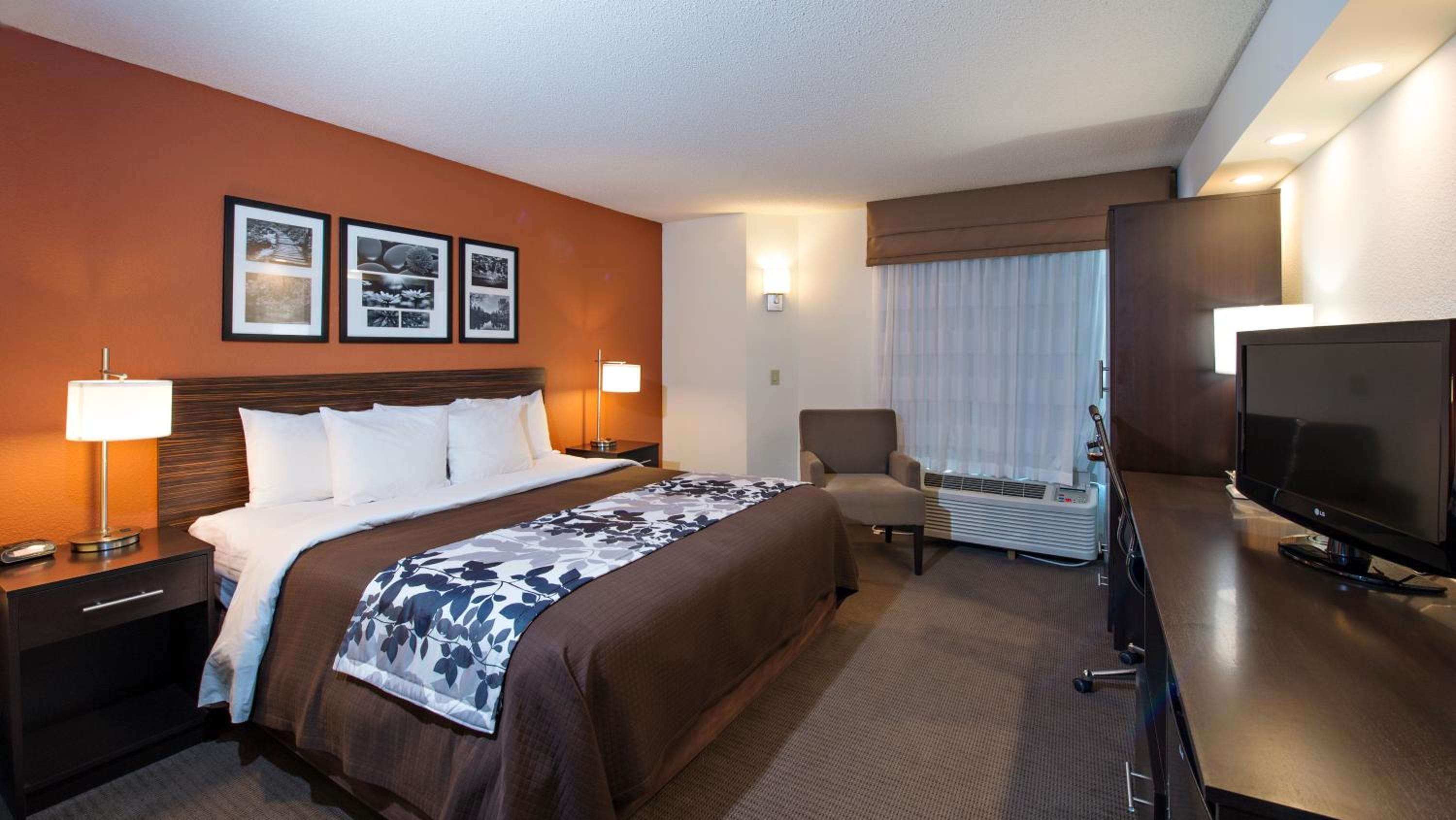 King Room - Non-Smoking - Photo 4