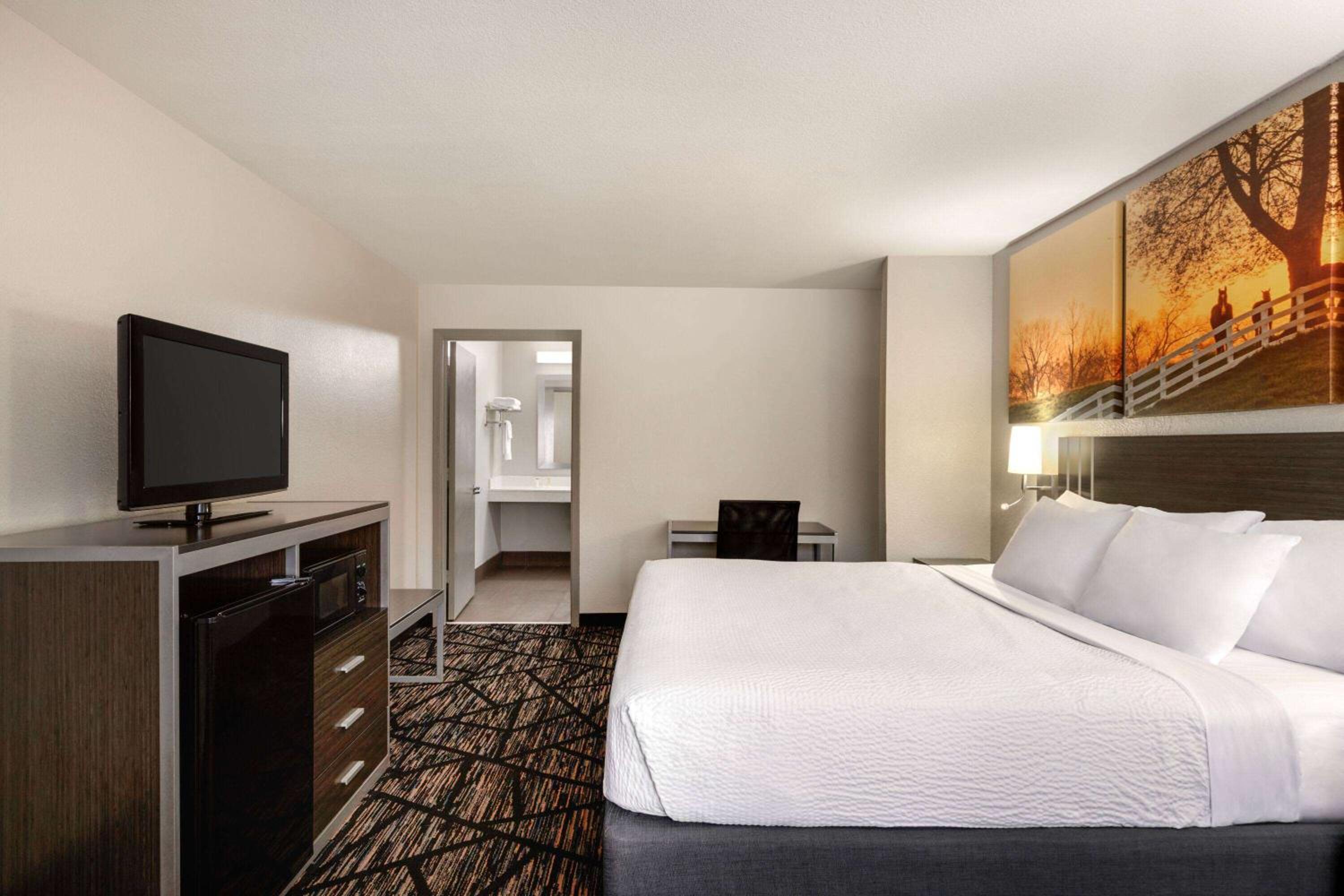 King Room with Roll-in Shower - Mobility Access/Non-Smoking - Photo 3