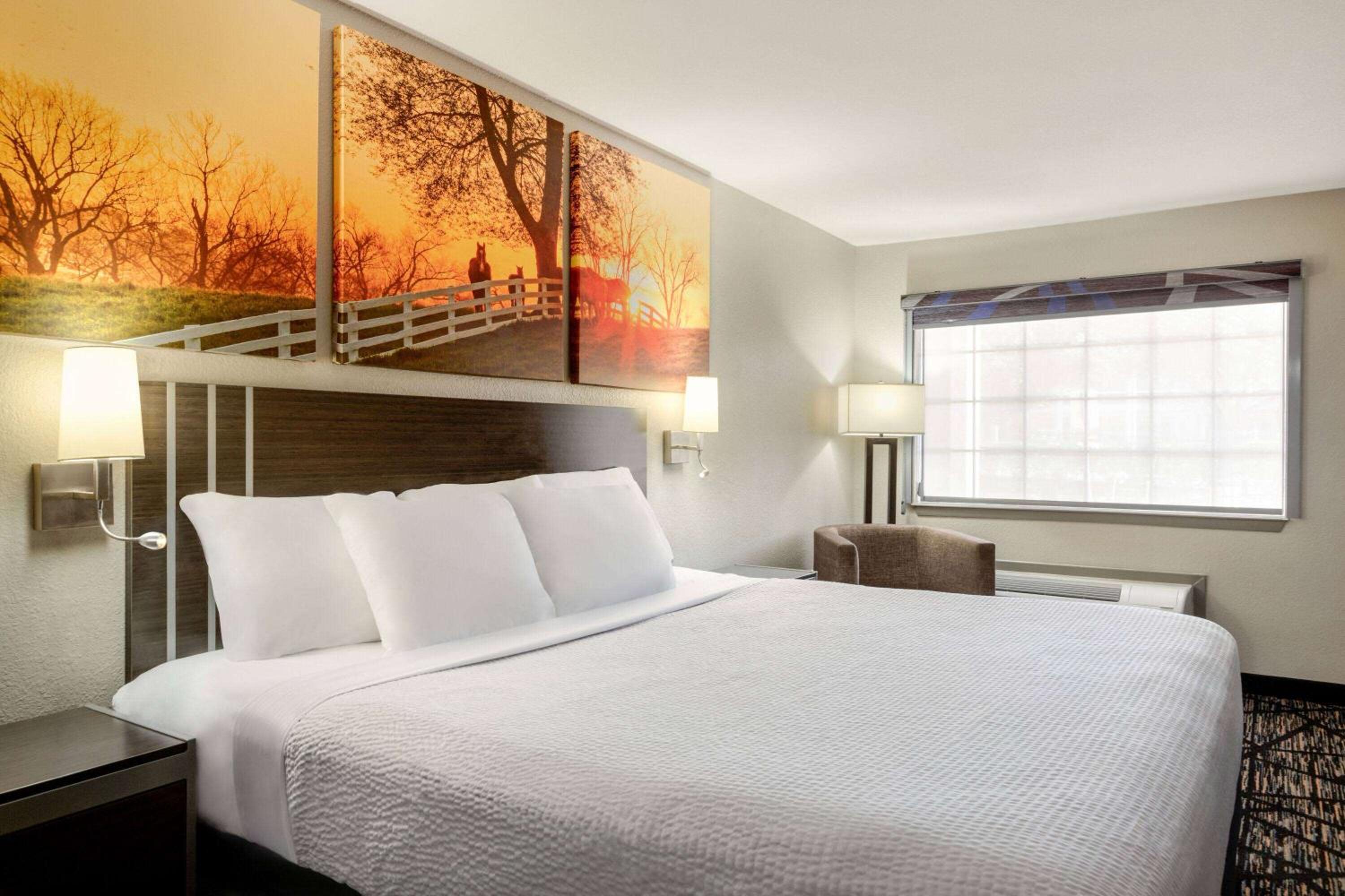 King Room with Roll-in Shower - Mobility Access/Non-Smoking - Photo 2