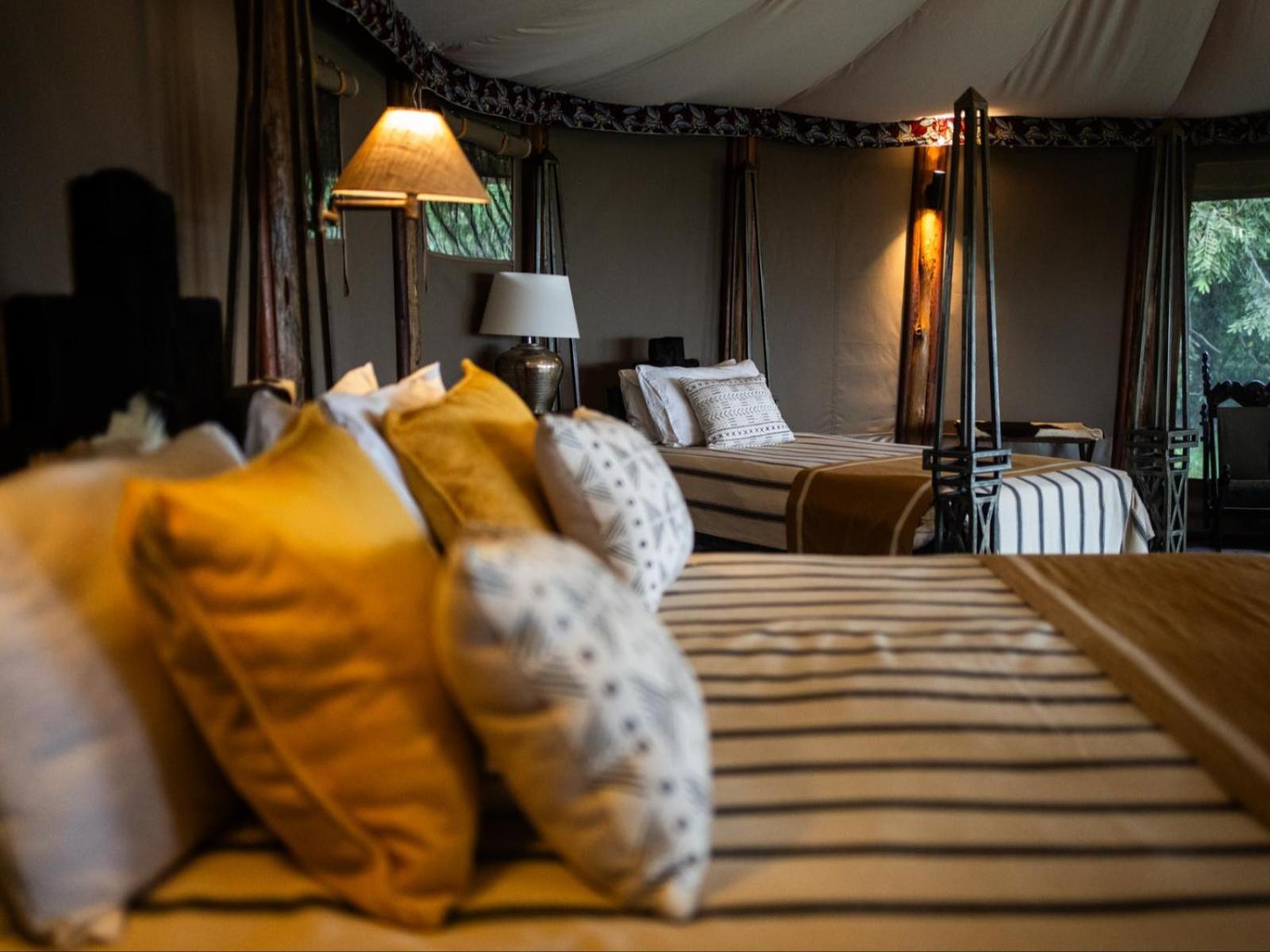Deluxe Tent photo 1