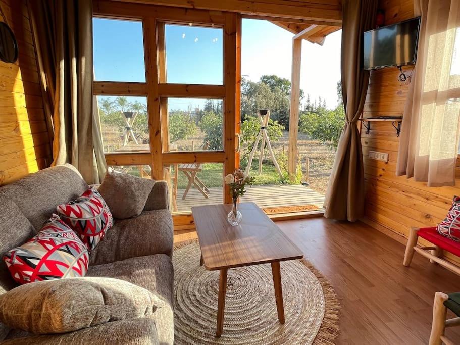One-Bedroom Chalet photo 1