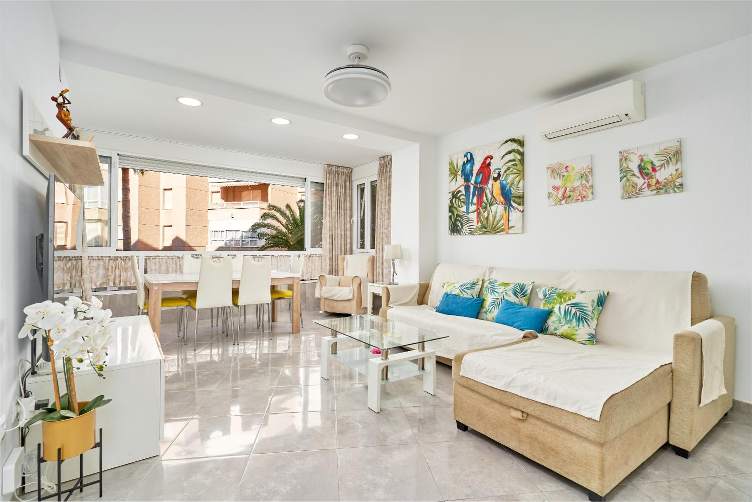 Apartamento Superior de Dos Habitaciones