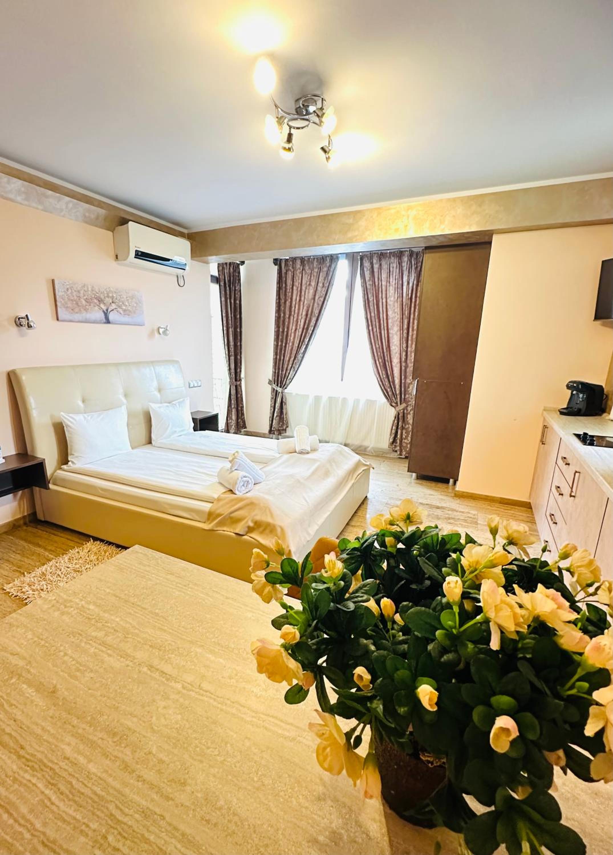 Studio with Sofa Bed